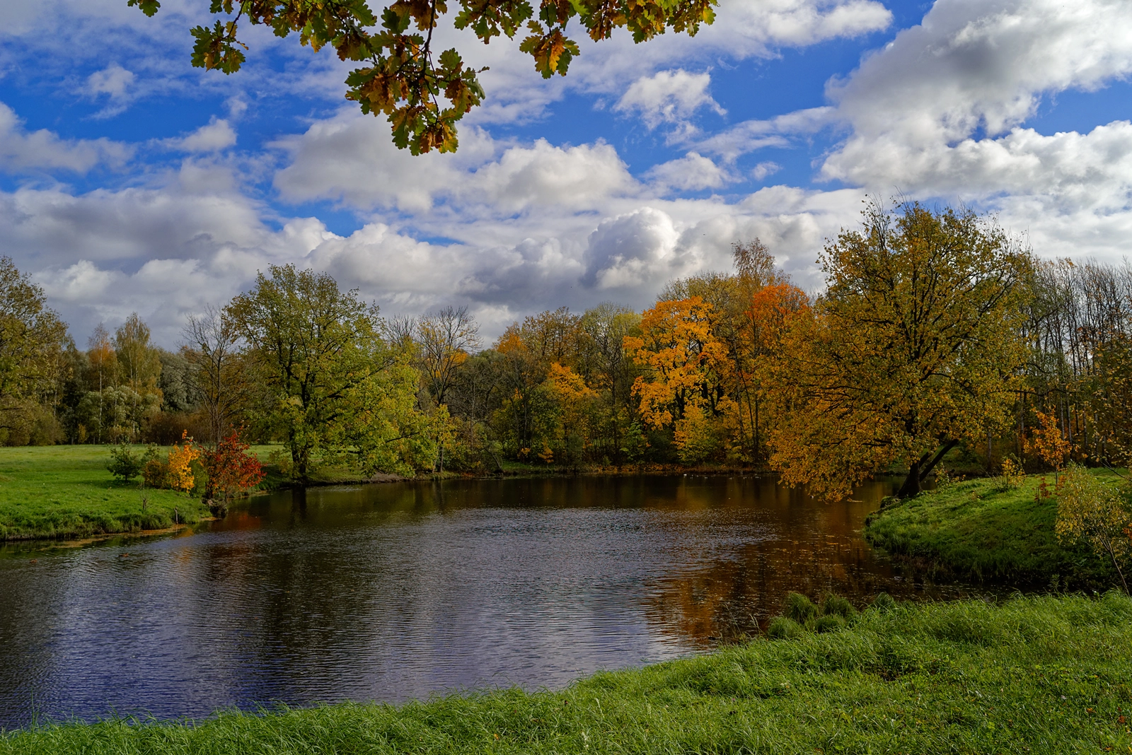 Pentax K-1 sample photo. Golden autumn _10_ photography