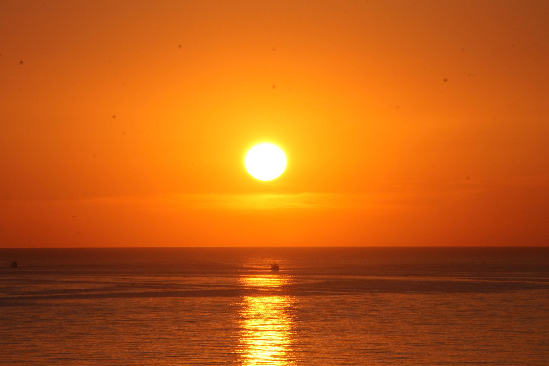 Canon EF 75-300mm F4.0-5.6 IS USM sample photo