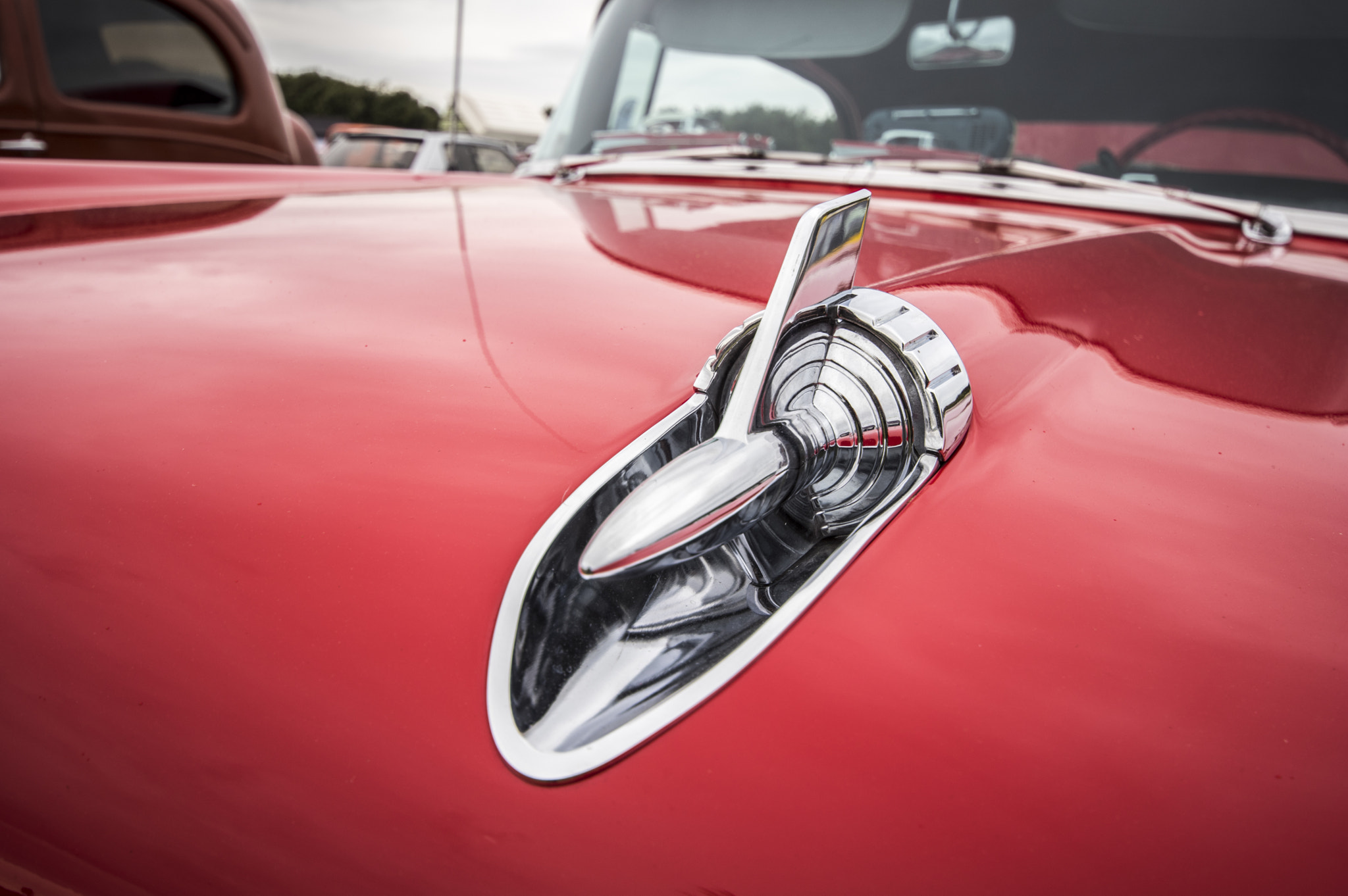 Sigma AF 10-20mm F4-5.6 EX DC sample photo. Hood photography