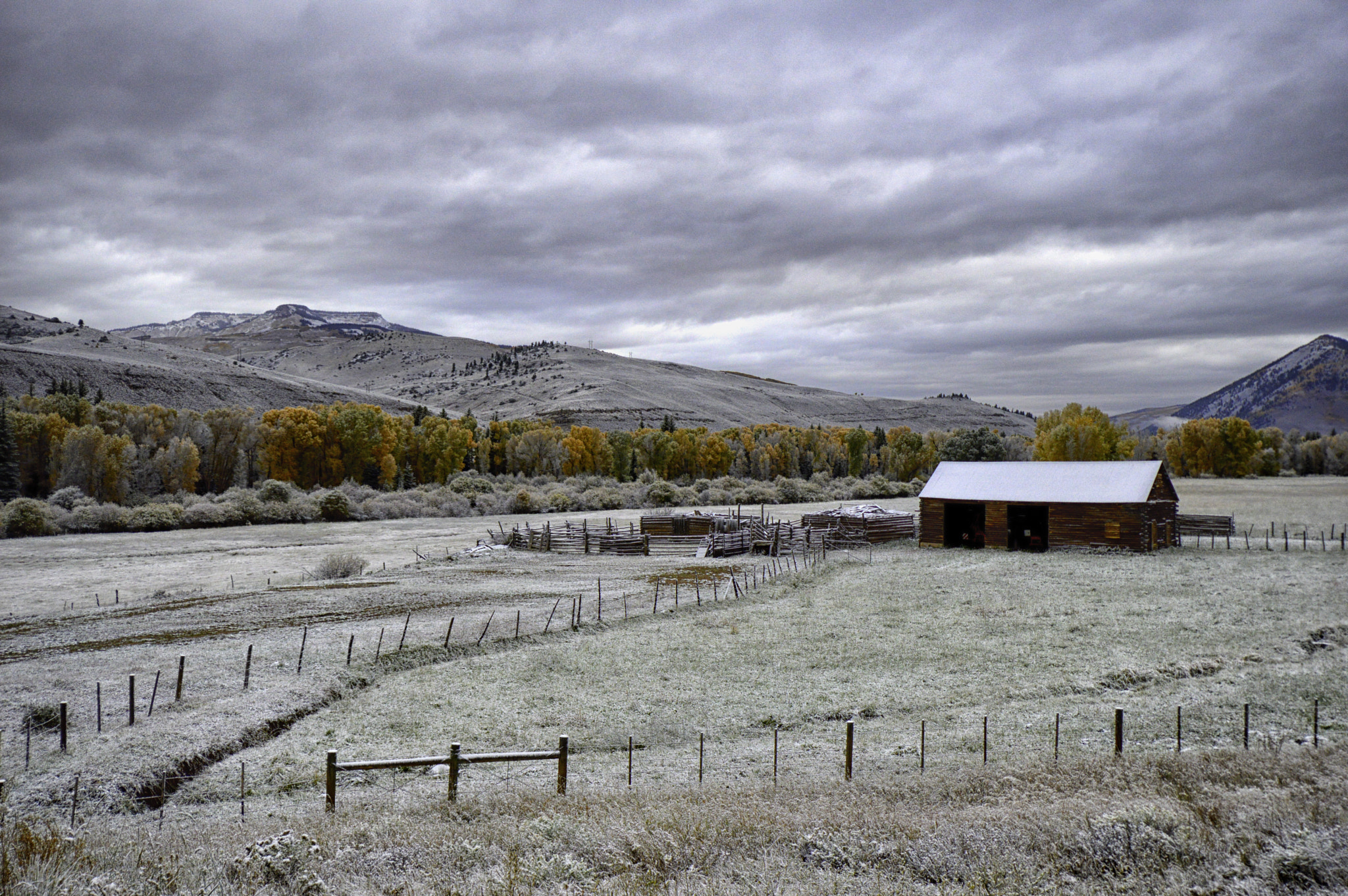 Nikon D3200 + Nikon AF-S DX Nikkor 10-24mm F3-5-4.5G ED sample photo. Frosty colorado morning photography