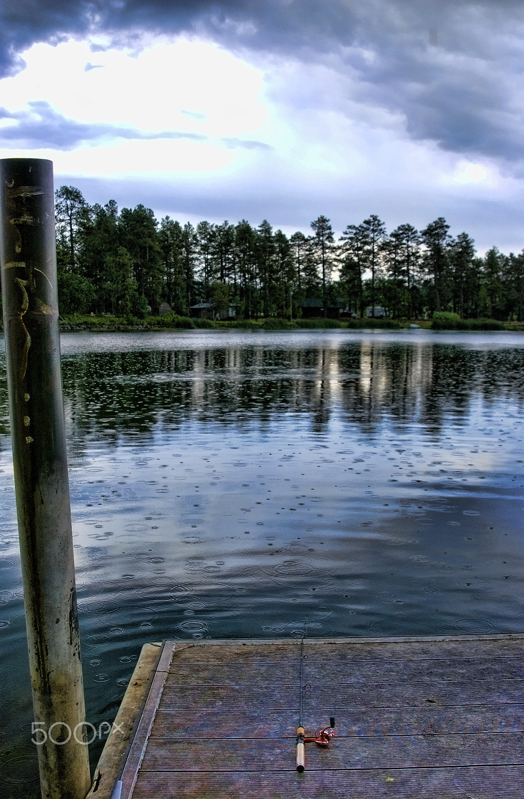 Nikon D1X sample photo. # photography
