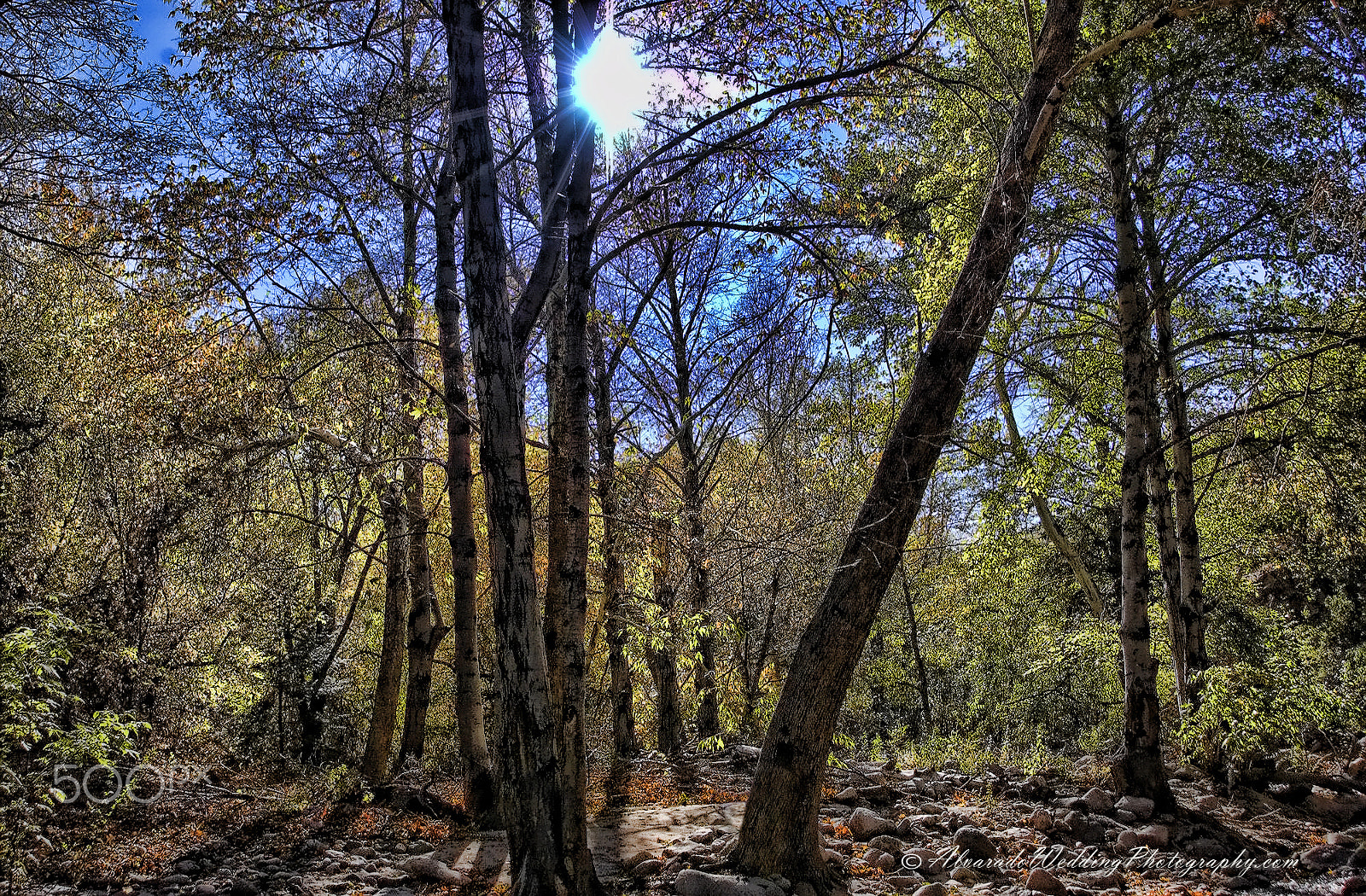 Nikon D1X sample photo. River copyrighted photography