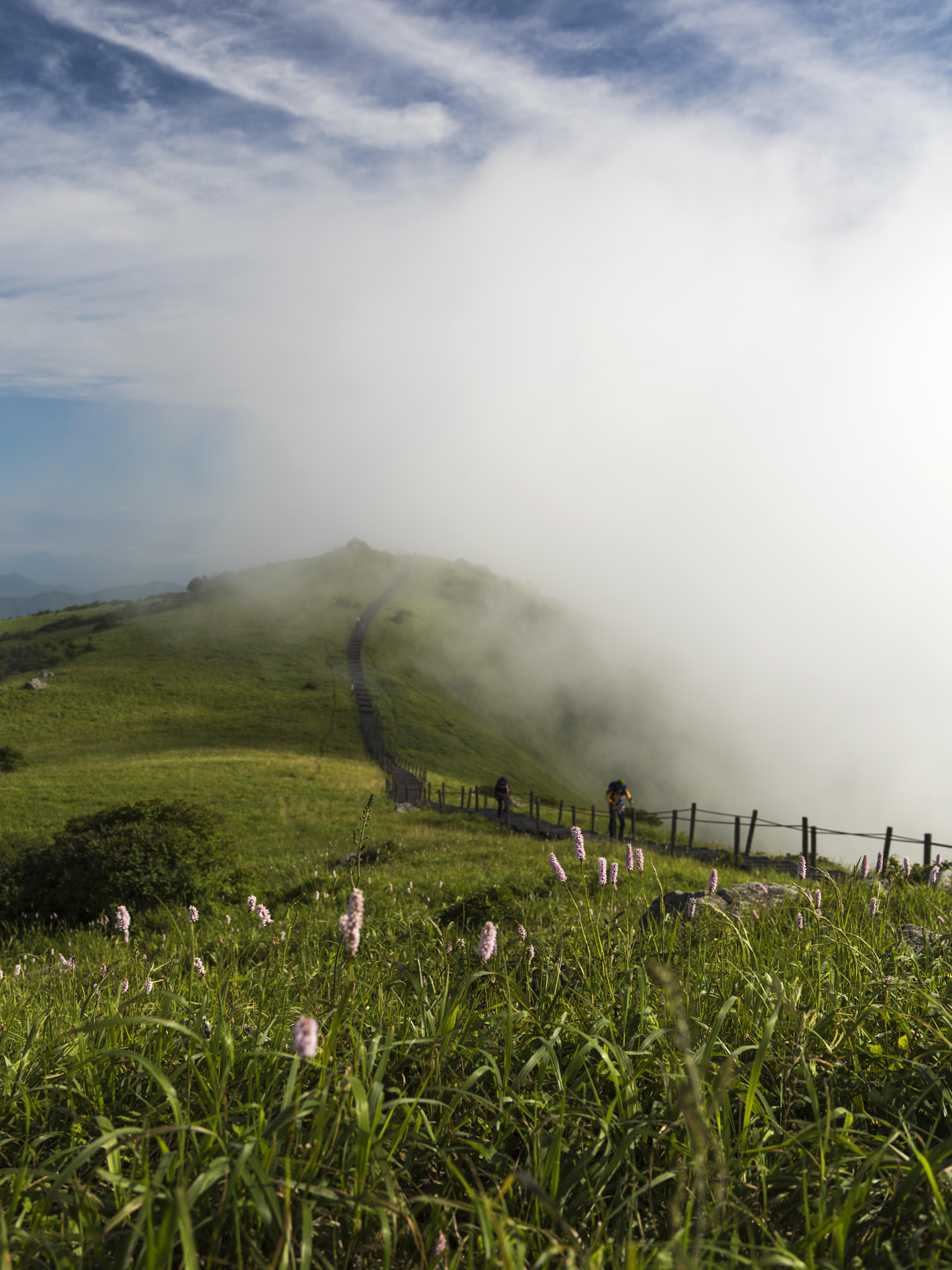 Pentax 645Z + HD Pentax-DA645 28-45mm F4.5ED AW SR sample photo. Road photography