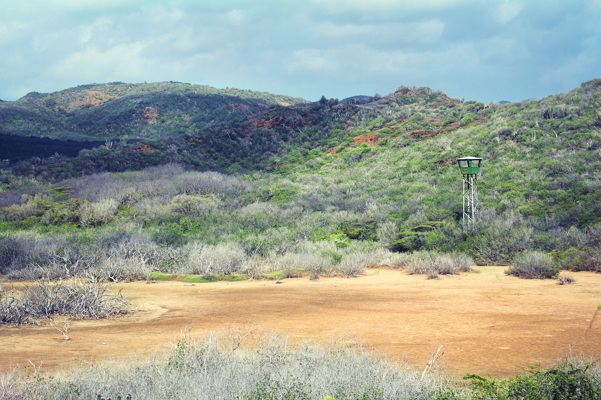 Canon EF 75-300mm f/4-5.6 USM sample photo. Through the wilderness photography