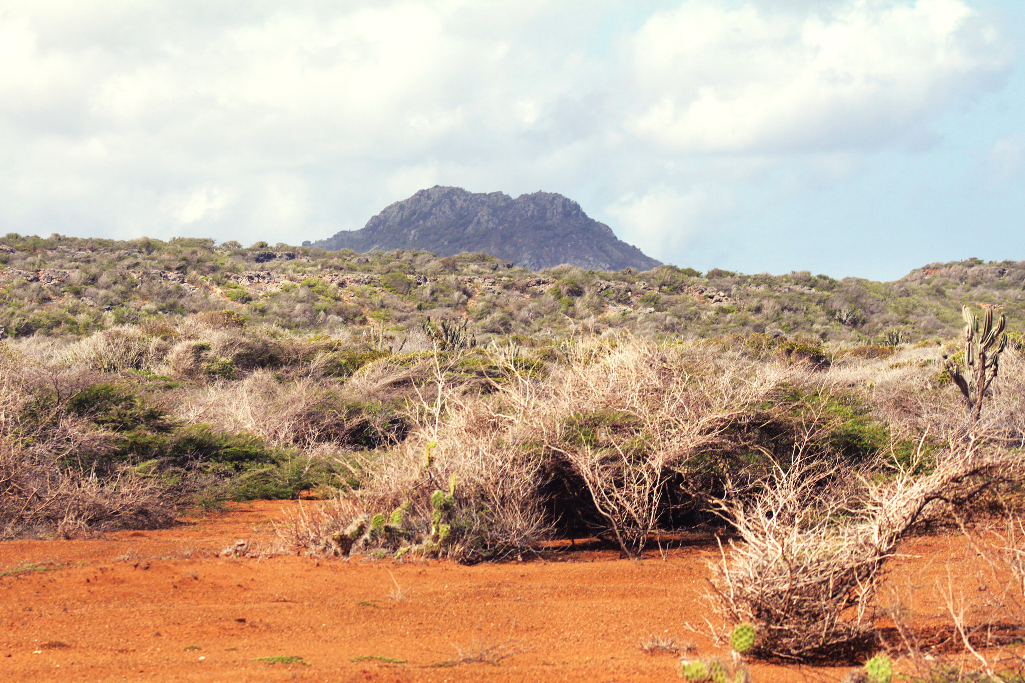 Canon EF 75-300mm f/4-5.6 USM sample photo. Dry land photography