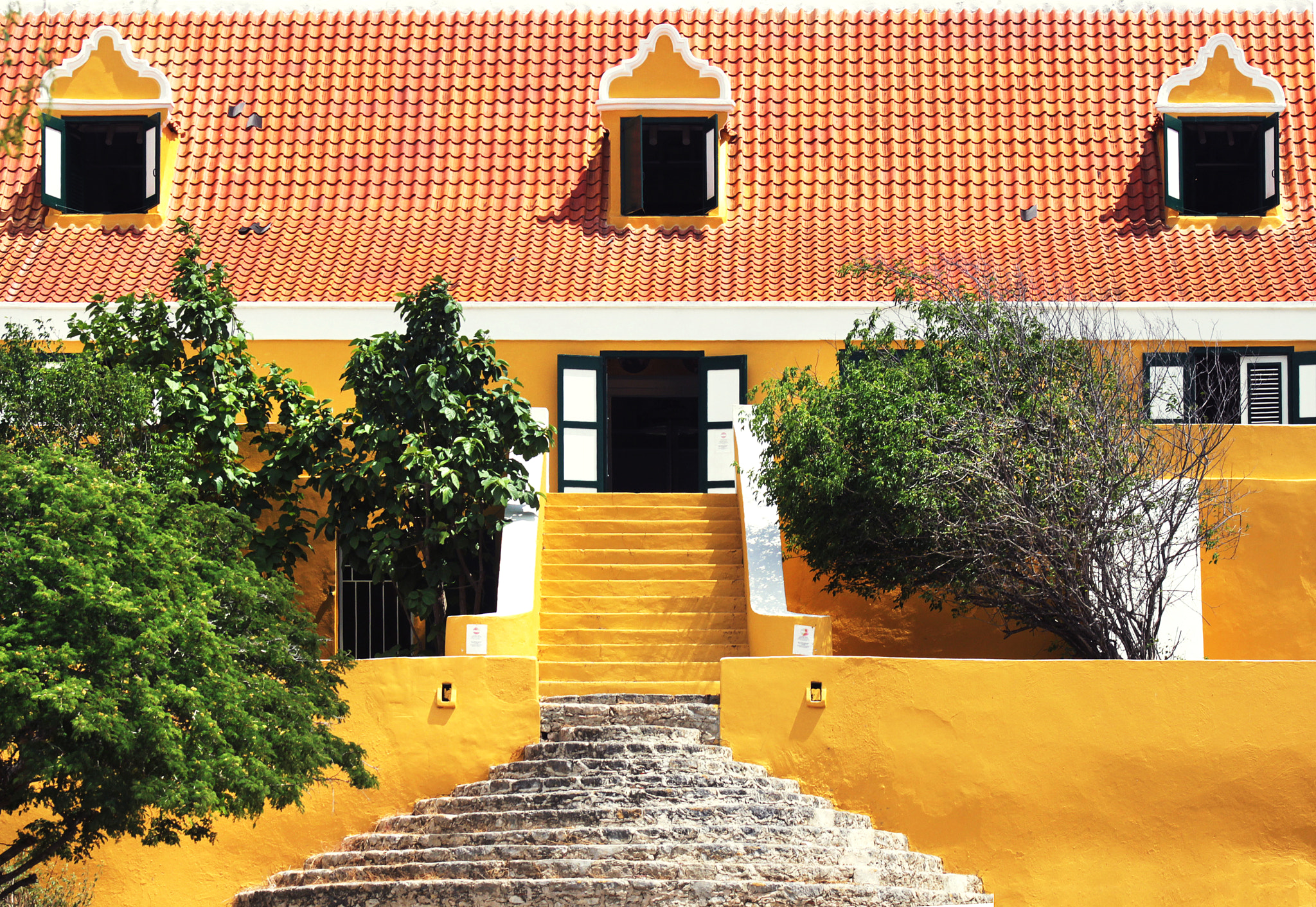 Canon EF 75-300mm f/4-5.6 USM sample photo. The yellow place photography