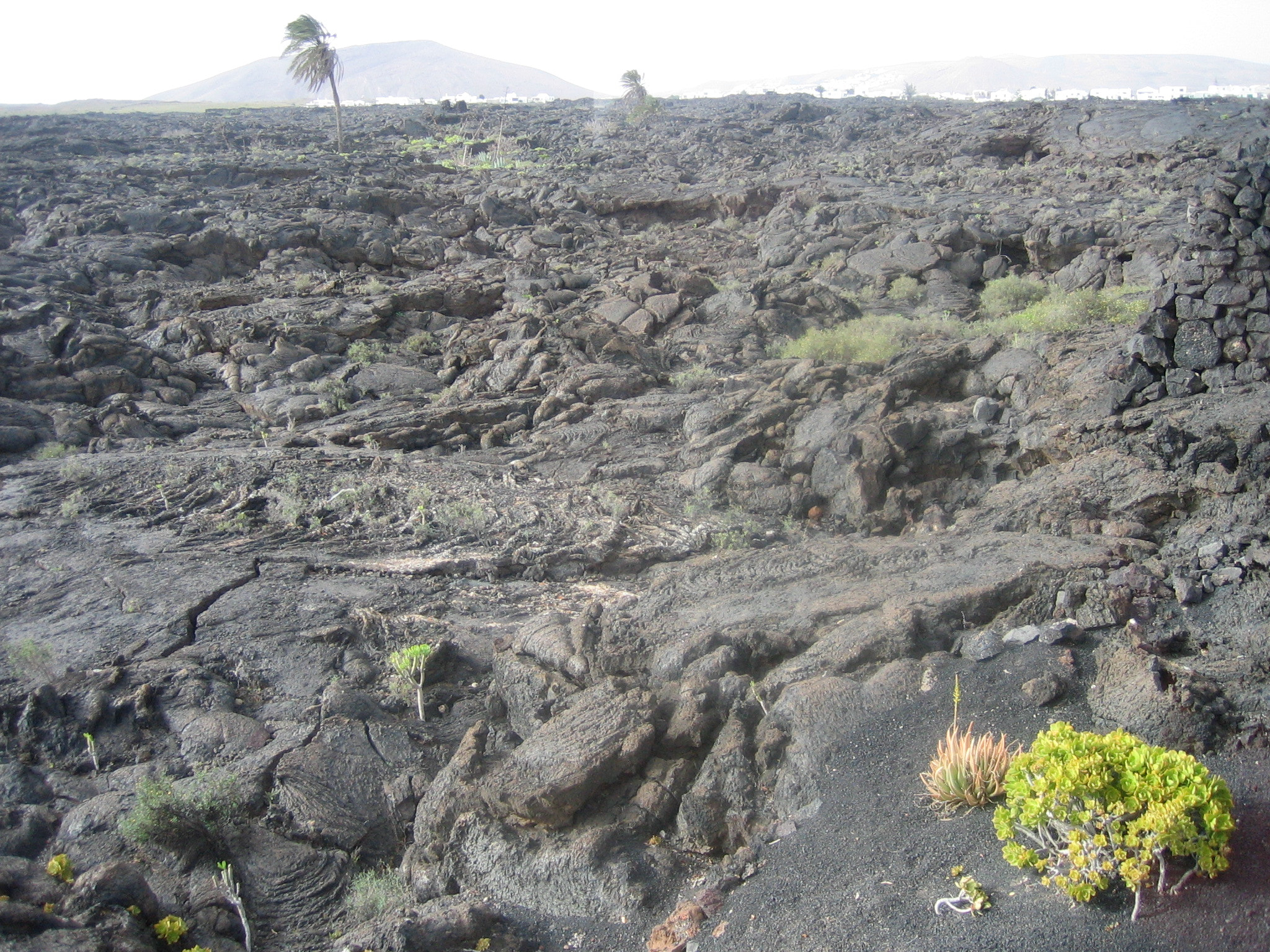 Canon DIGITAL IXUS 30 sample photo. Lanzarote.jpg photography