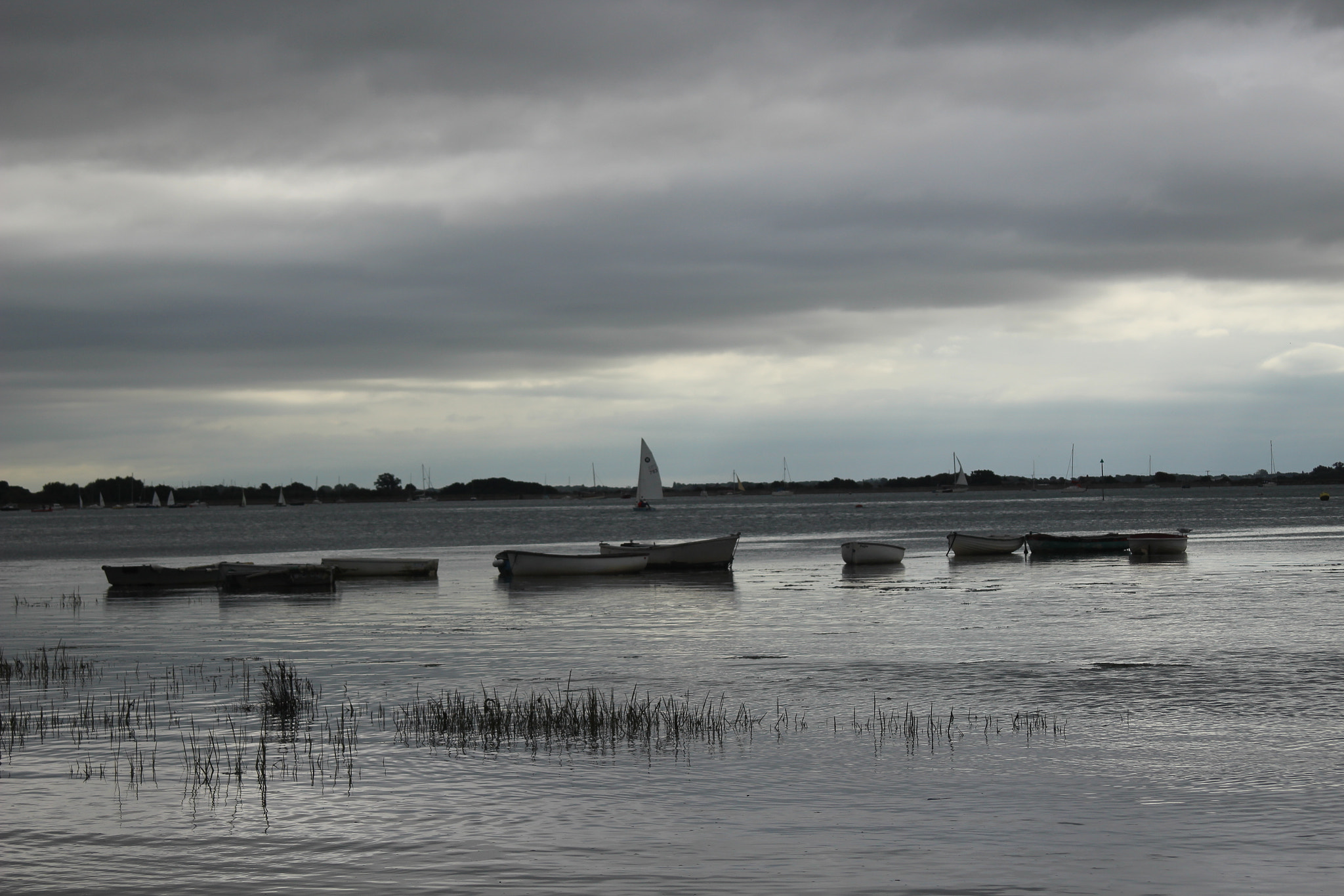 Canon EOS 100D (EOS Rebel SL1 / EOS Kiss X7) sample photo. Coastal walk along langstone harbour, england. photography