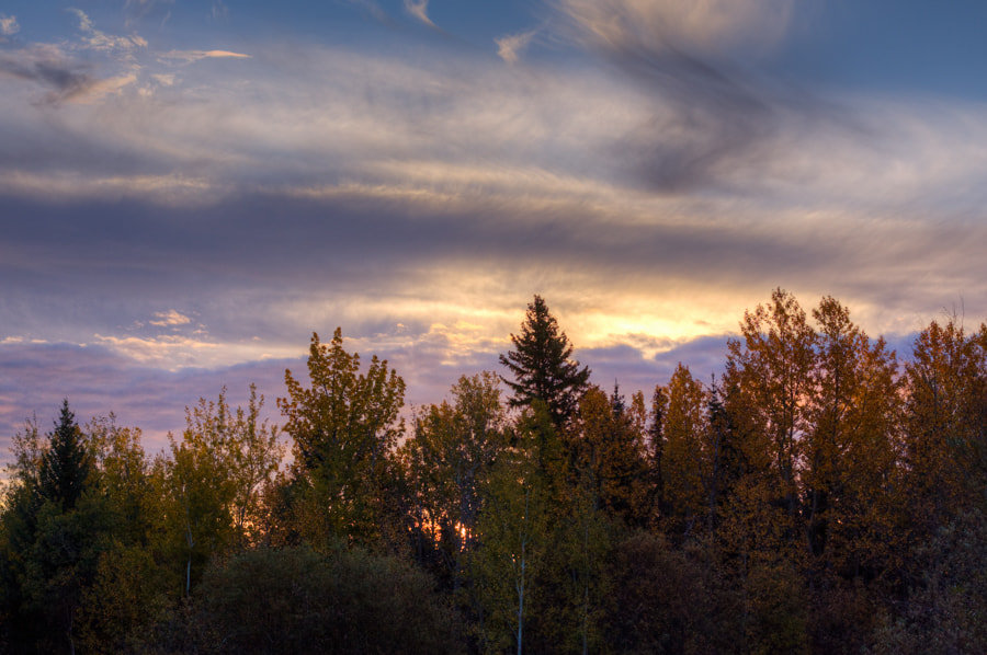 Canon EOS 50D sample photo. Autumn colors photography