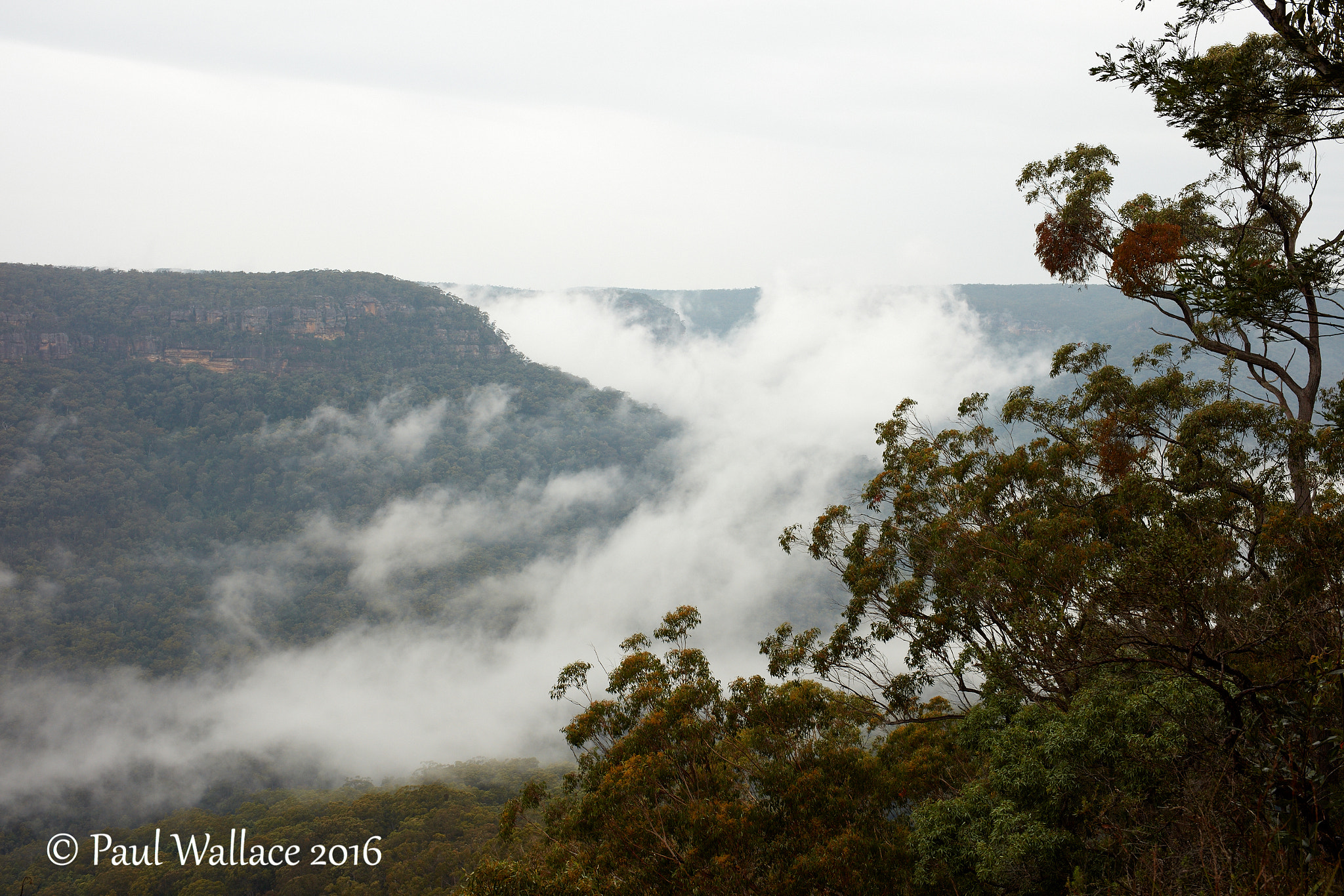 Canon EOS 5DS sample photo. Rising mist.jpg photography