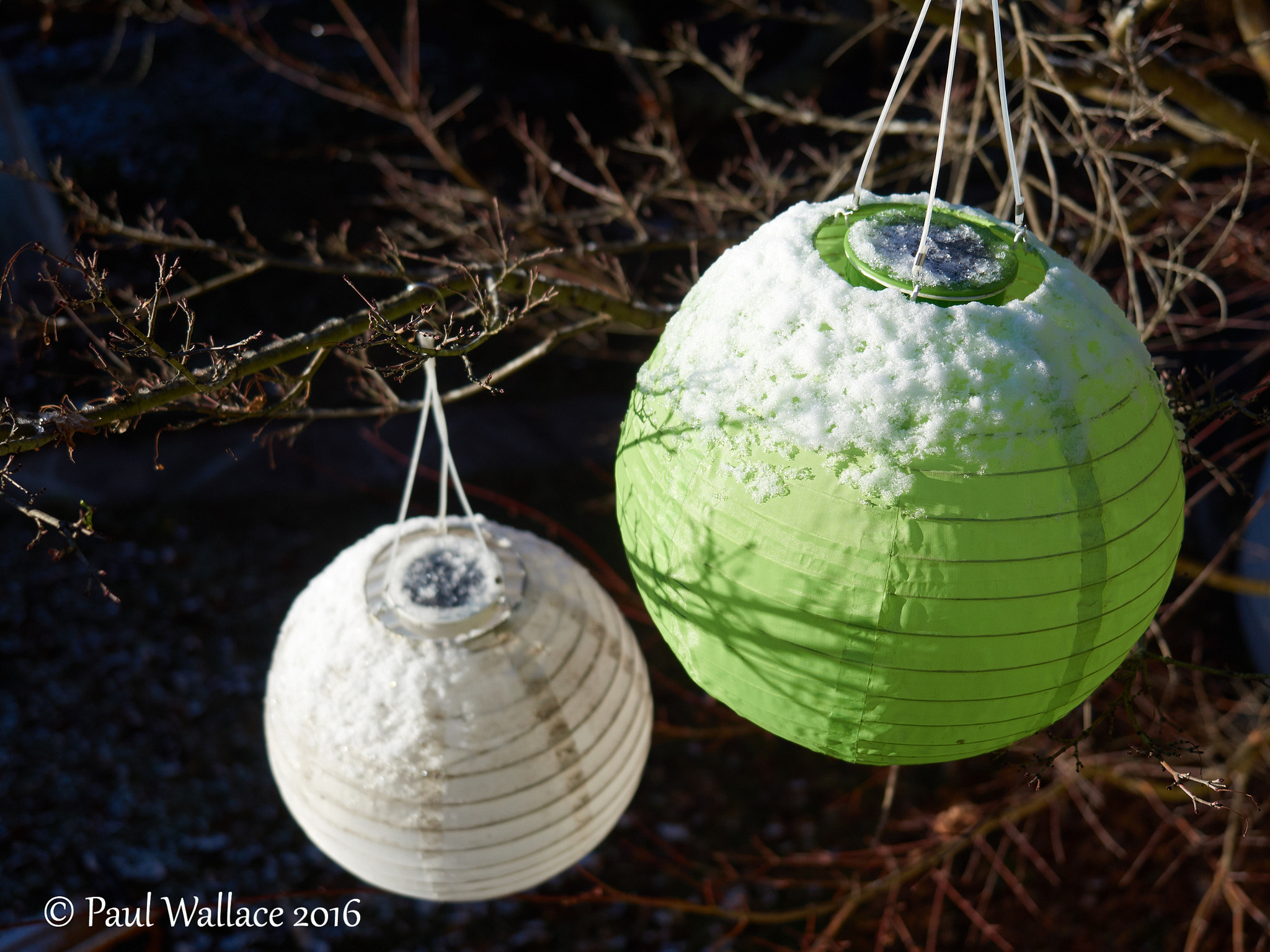Olympus M.ZUIKO DIGITAL ED 12-40mm 1:2.8 sample photo. Snowy lanterns photography