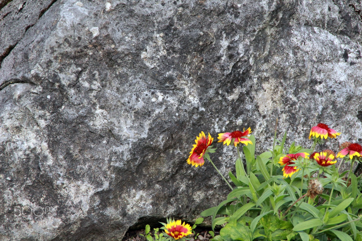 Canon EOS 1300D (EOS Rebel T6 / EOS Kiss X80) sample photo. Mountains photography