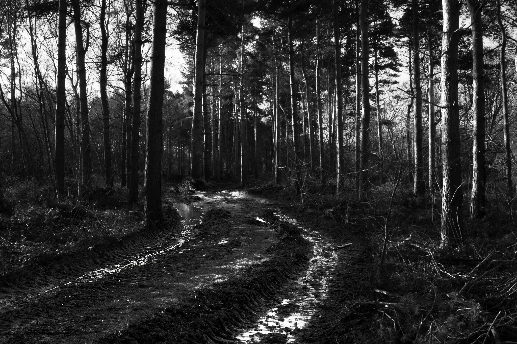 Sony Alpha DSLR-A290 + Sony DT 18-55mm F3.5-5.6 SAM sample photo. Muddy tracks photography