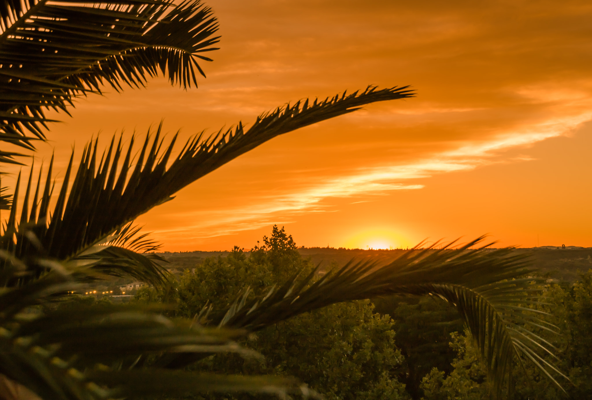 Sigma 18-250mm F3.5-6.3 DC OS HSM sample photo. Topical sunset photography