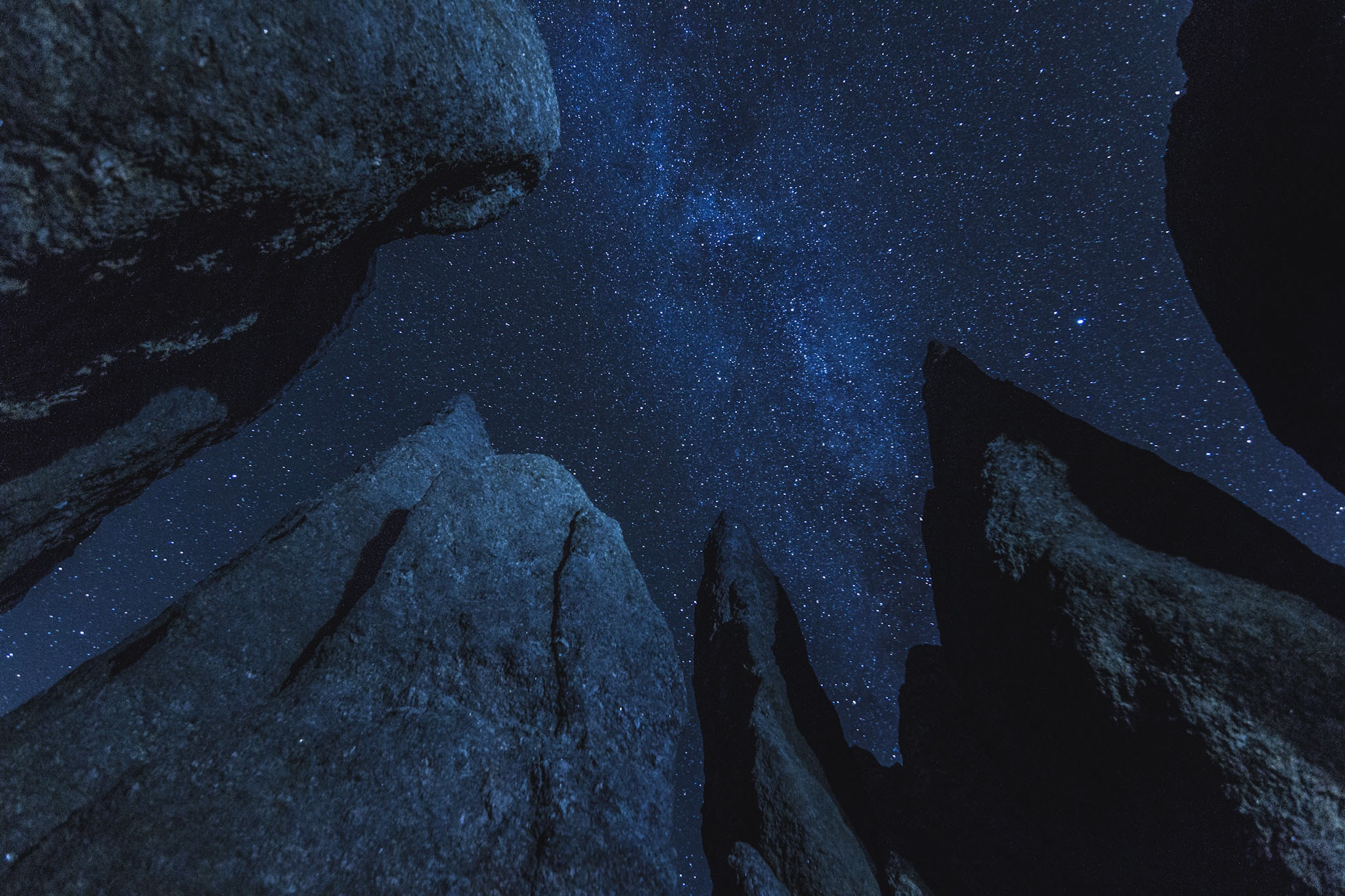 Tokina AT-X 11-20mm F2.8 PRO DX sample photo. Custer statepark needles photography
