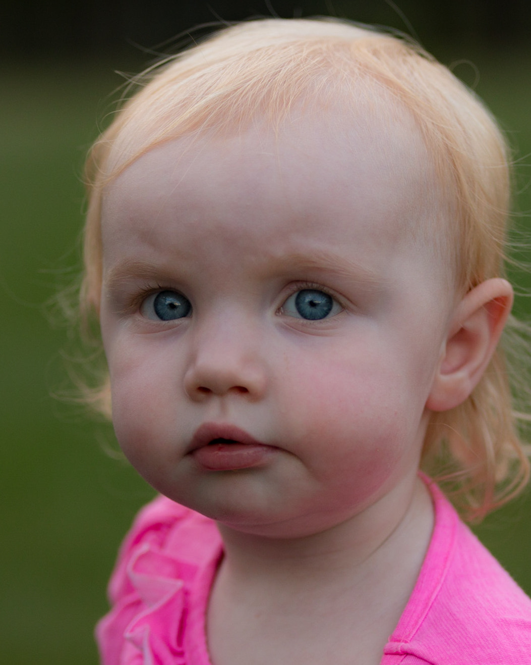 Sigma 50-100mm F1.8 DC HSM Art sample photo. Pretty in pink photography
