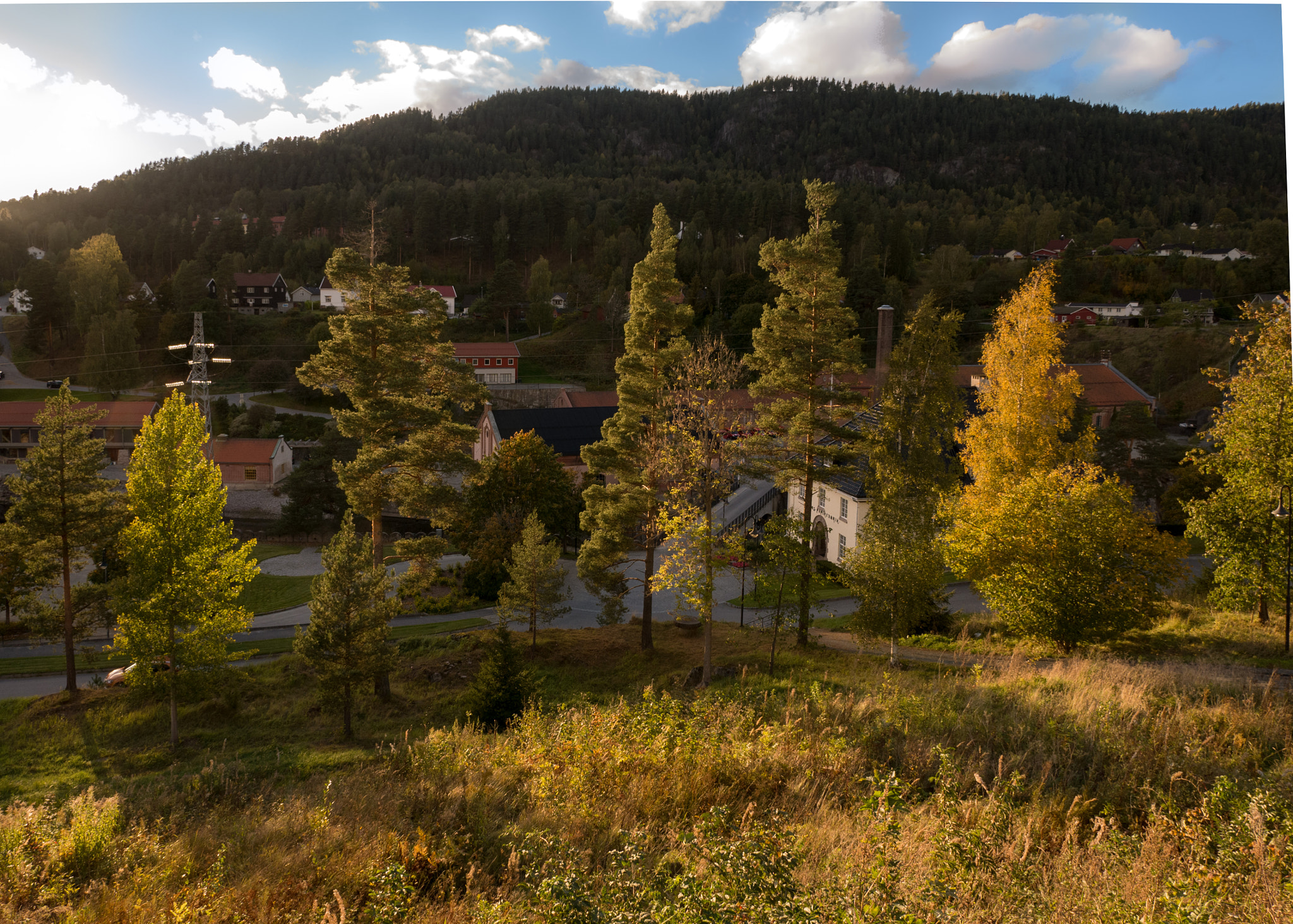 Panasonic Lumix DMC-GX7 sample photo. Fall photography
