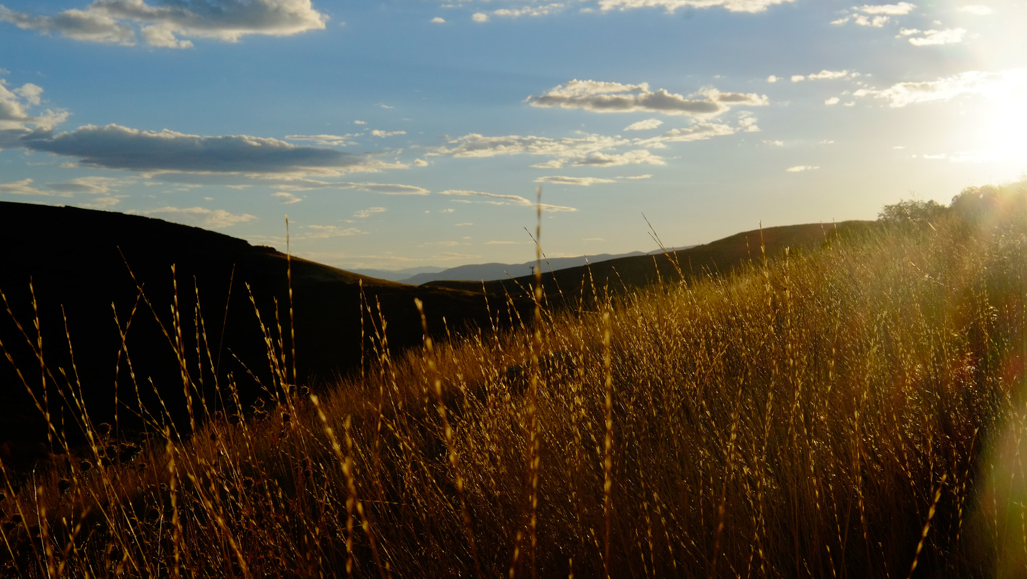 Fujifilm X-E1 + Fujifilm XF 35mm F2 R WR sample photo. Golden light photography