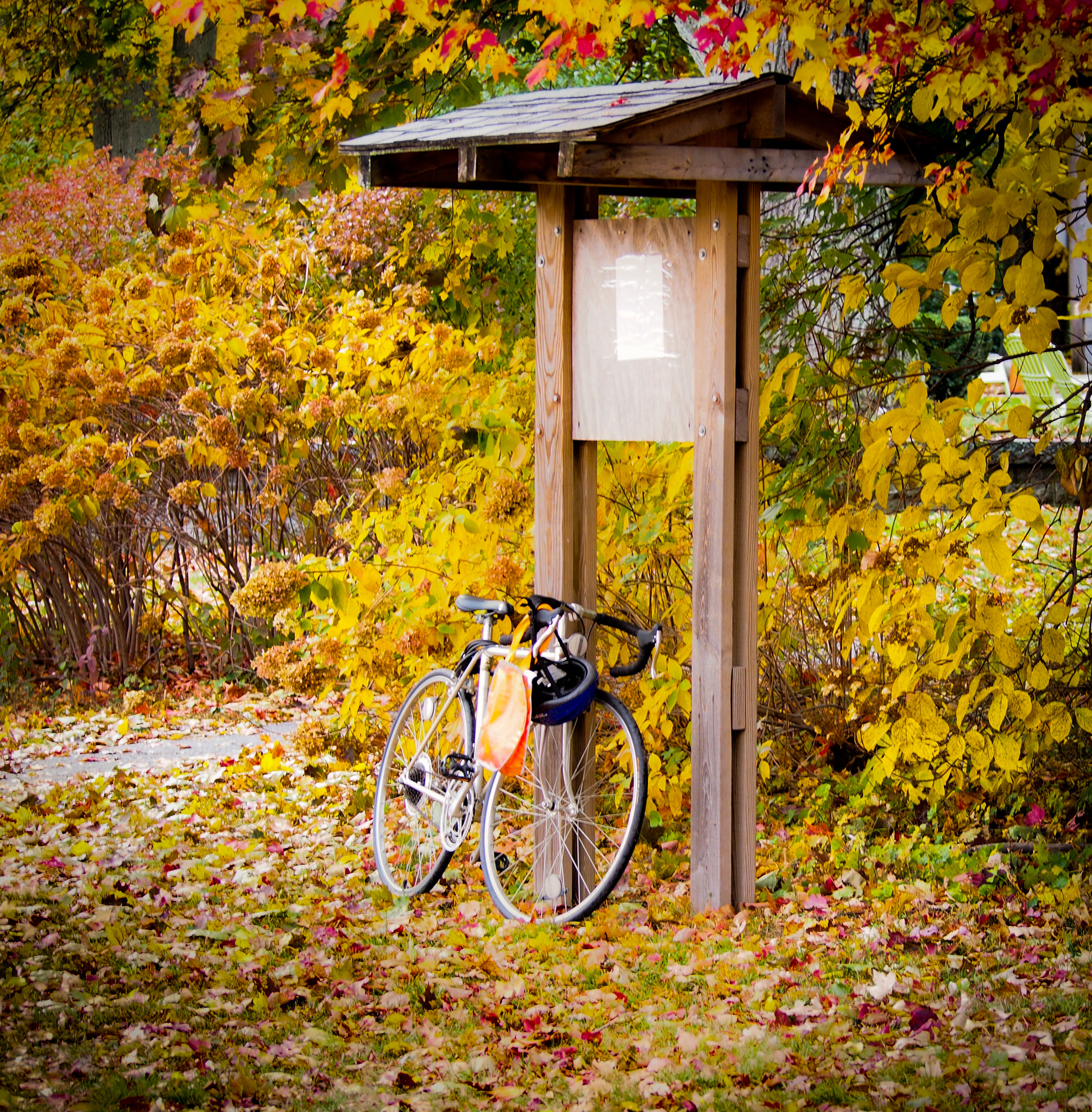 Olympus PEN E-PM2 sample photo. Companion photography
