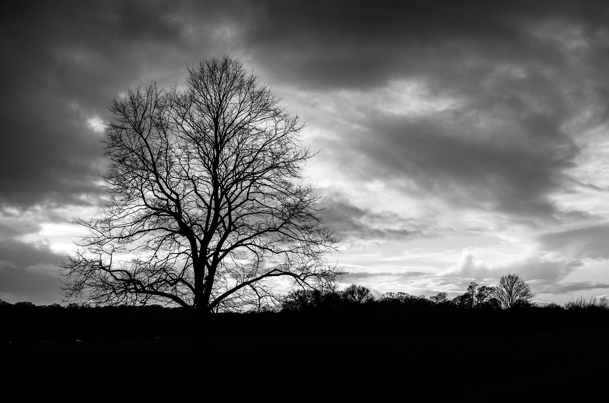 Pentax K-5 II sample photo. Winter at richmond park photography