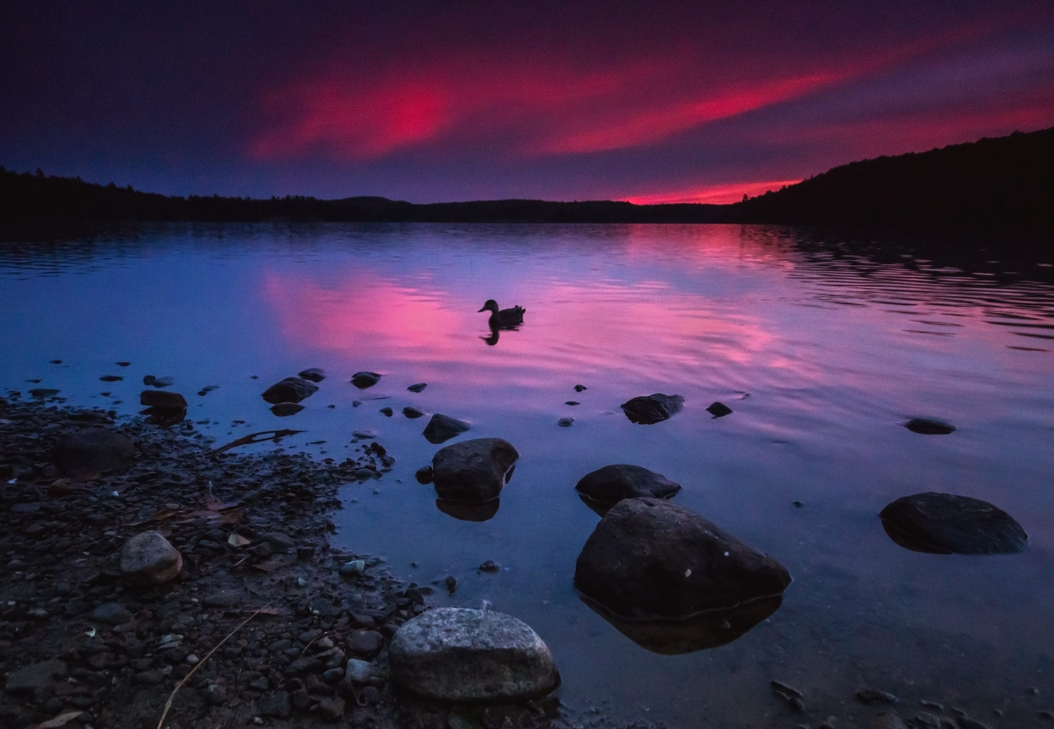 Sony SLT-A77 + Minolta AF 28-80mm F3.5-5.6 II sample photo. Duck on rock lake photography