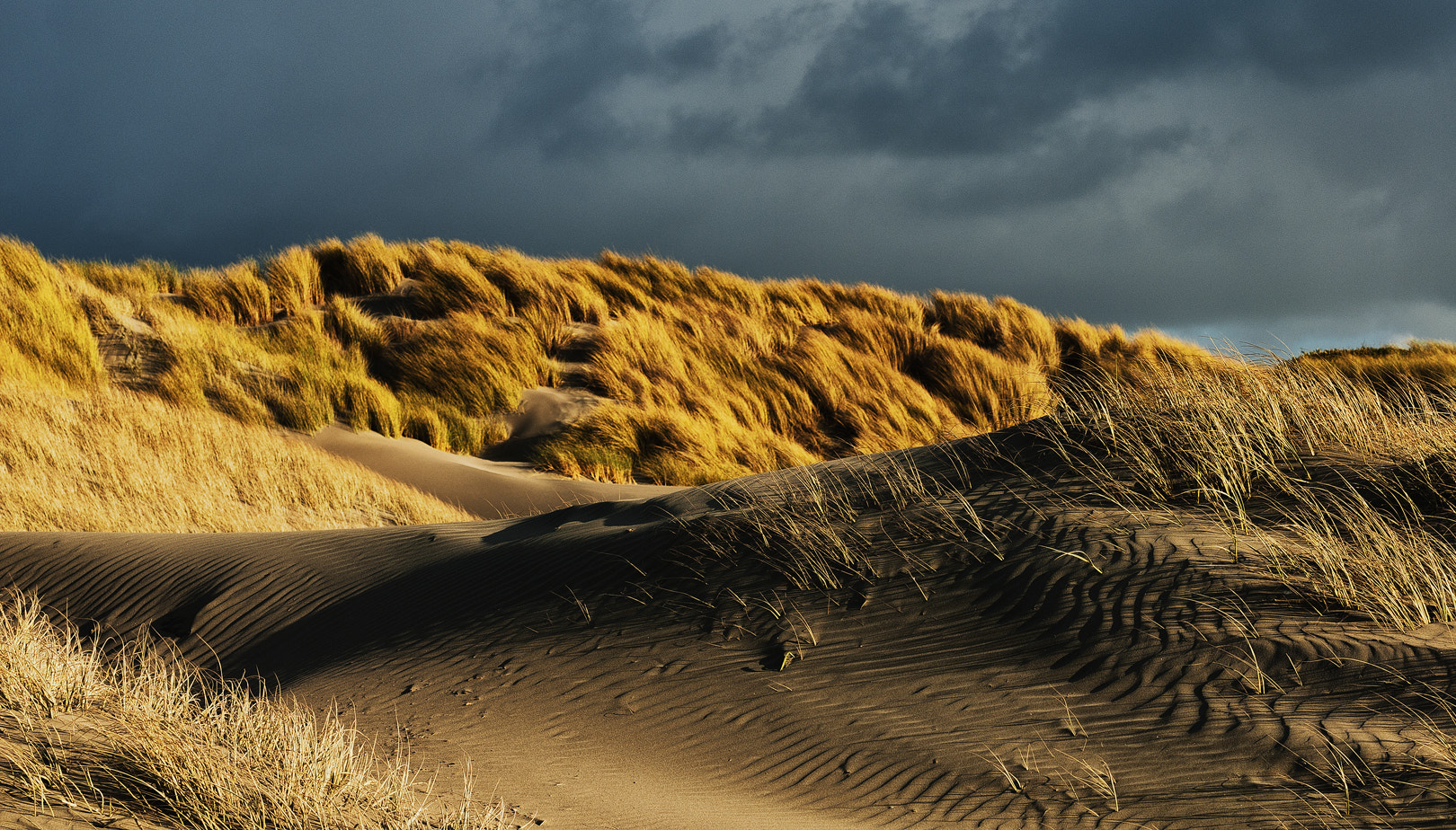 Nikon AF-S Nikkor 70-200mm F2.8G ED VR II sample photo. Sheltered and exposed (amongst the dunes). photography