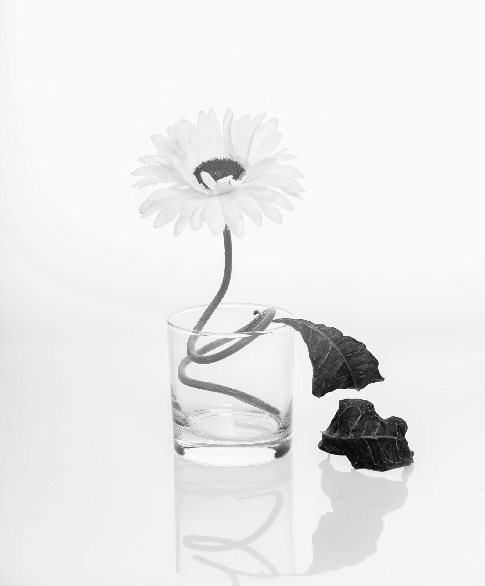 Canon EOS 5D + Canon EF 85mm F1.2L II USM sample photo. Glass photography