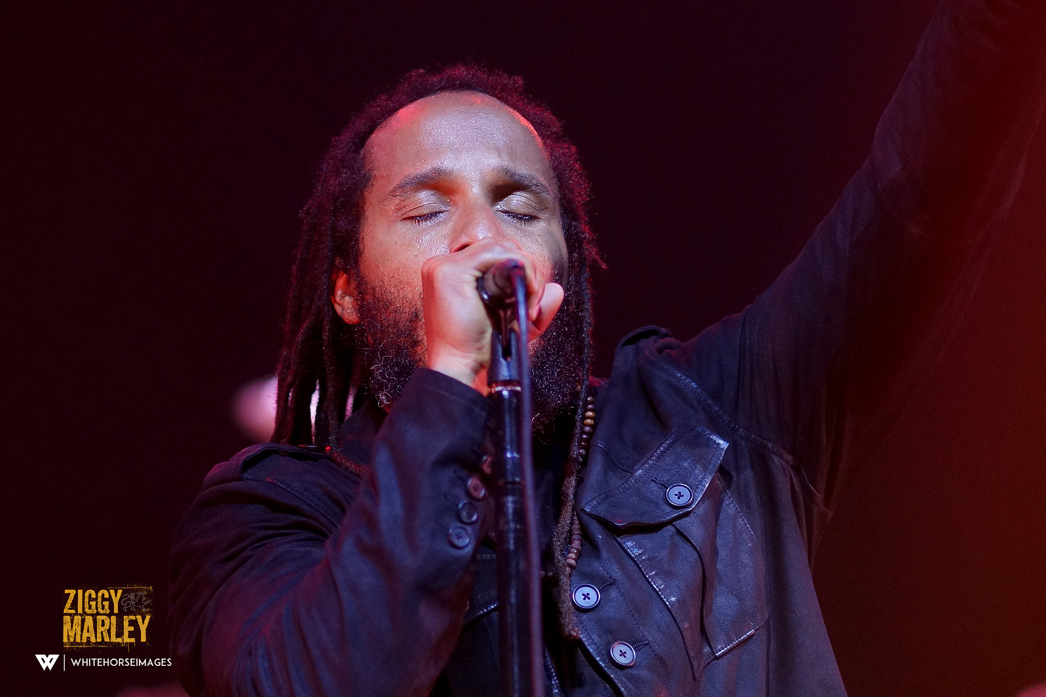 Sony Sonnar T* 135mm F1.8 ZA sample photo. Another live shot of ziggy. photography