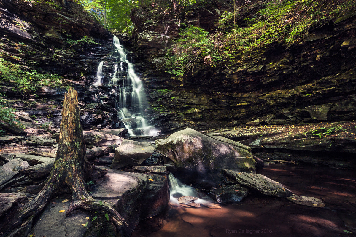 Canon EOS 500D (EOS Rebel T1i / EOS Kiss X3) sample photo. Ricketts glen 6 photography