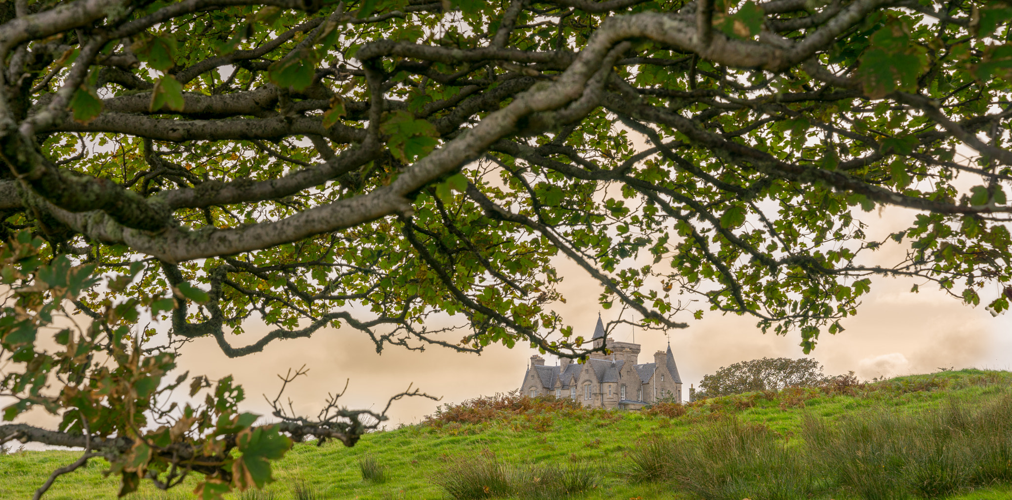 Sony a7 sample photo. Glengorm through the trees photography