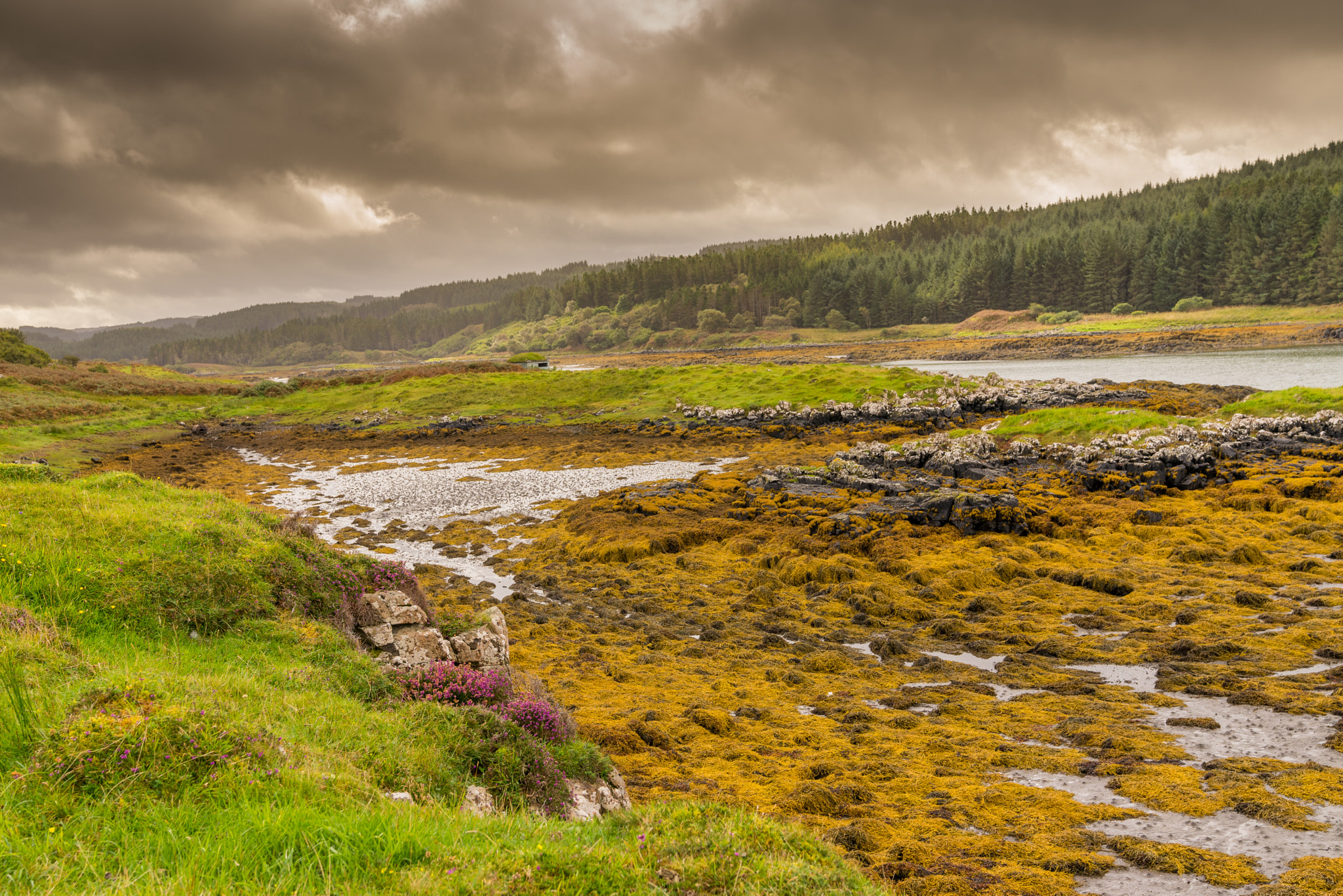 Sony a7 sample photo. Scottish landscape - 3 photography