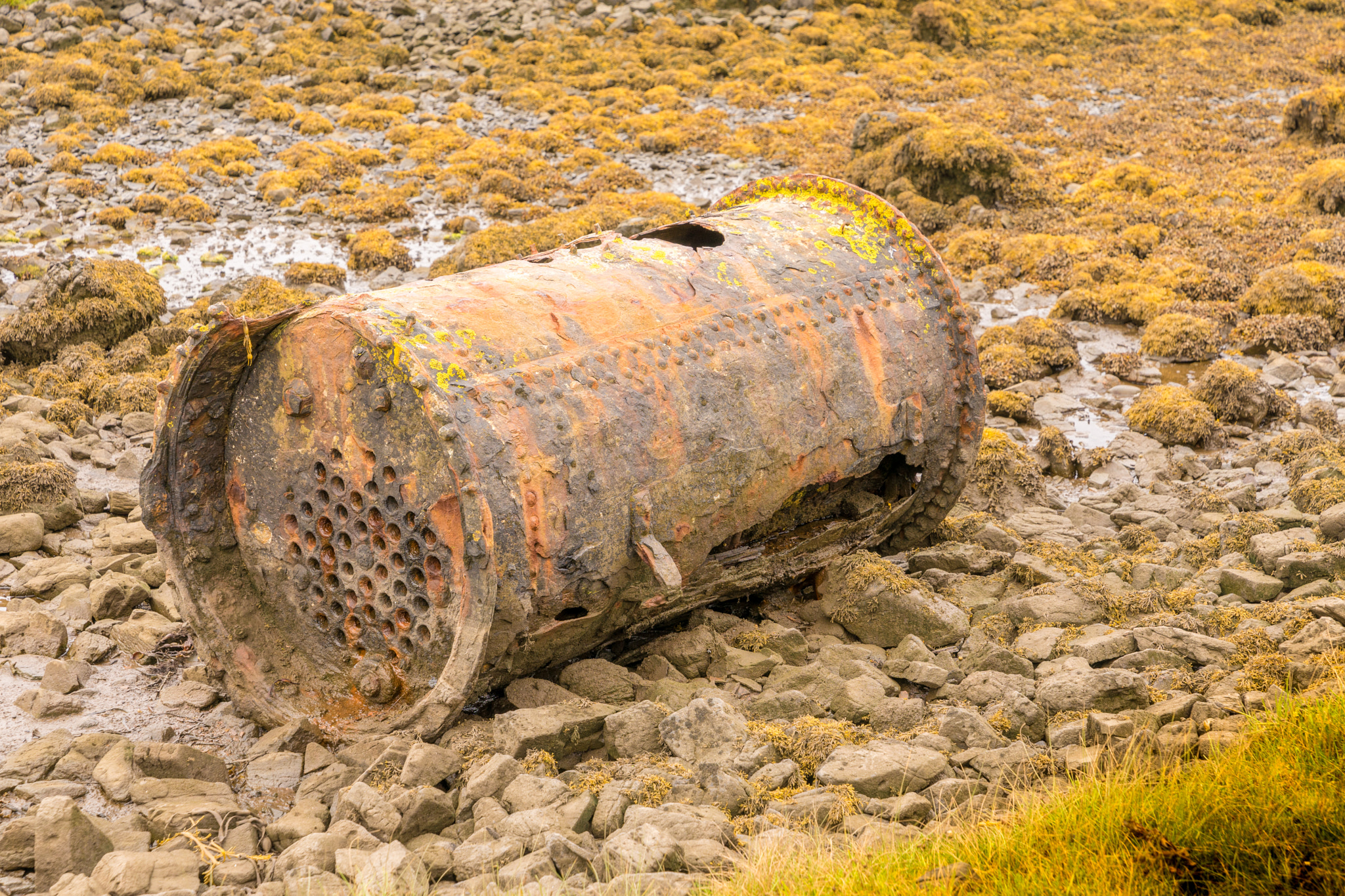 Sony a7 sample photo. Broken boat piece photography