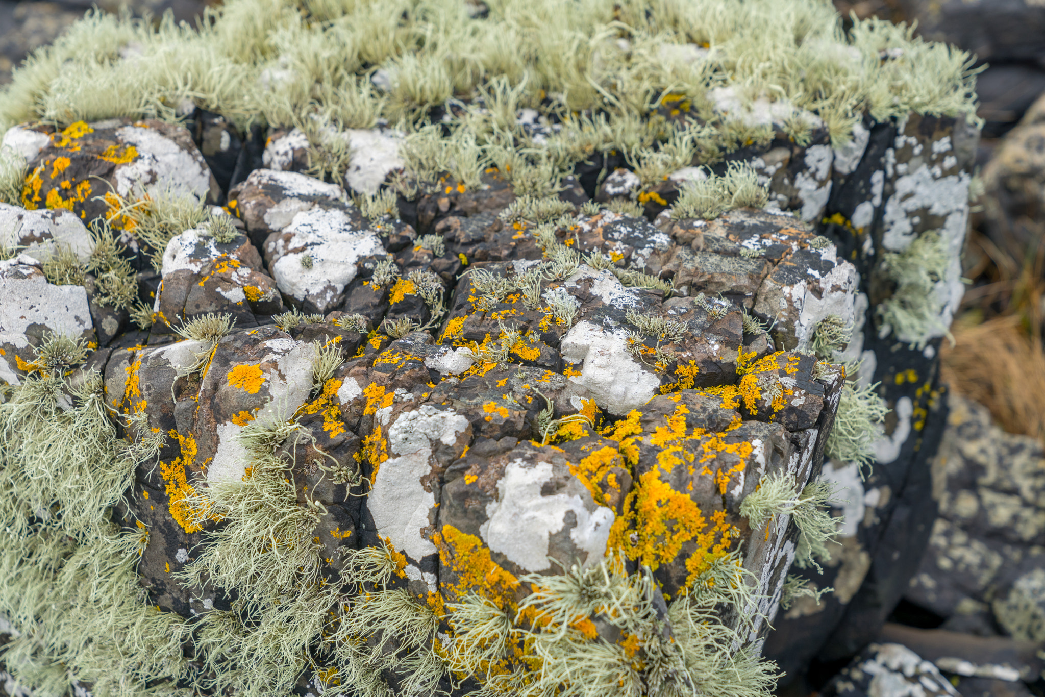 Sony a7 + Sony FE 24-70mm F2.8 GM sample photo. Colorful rocks photography