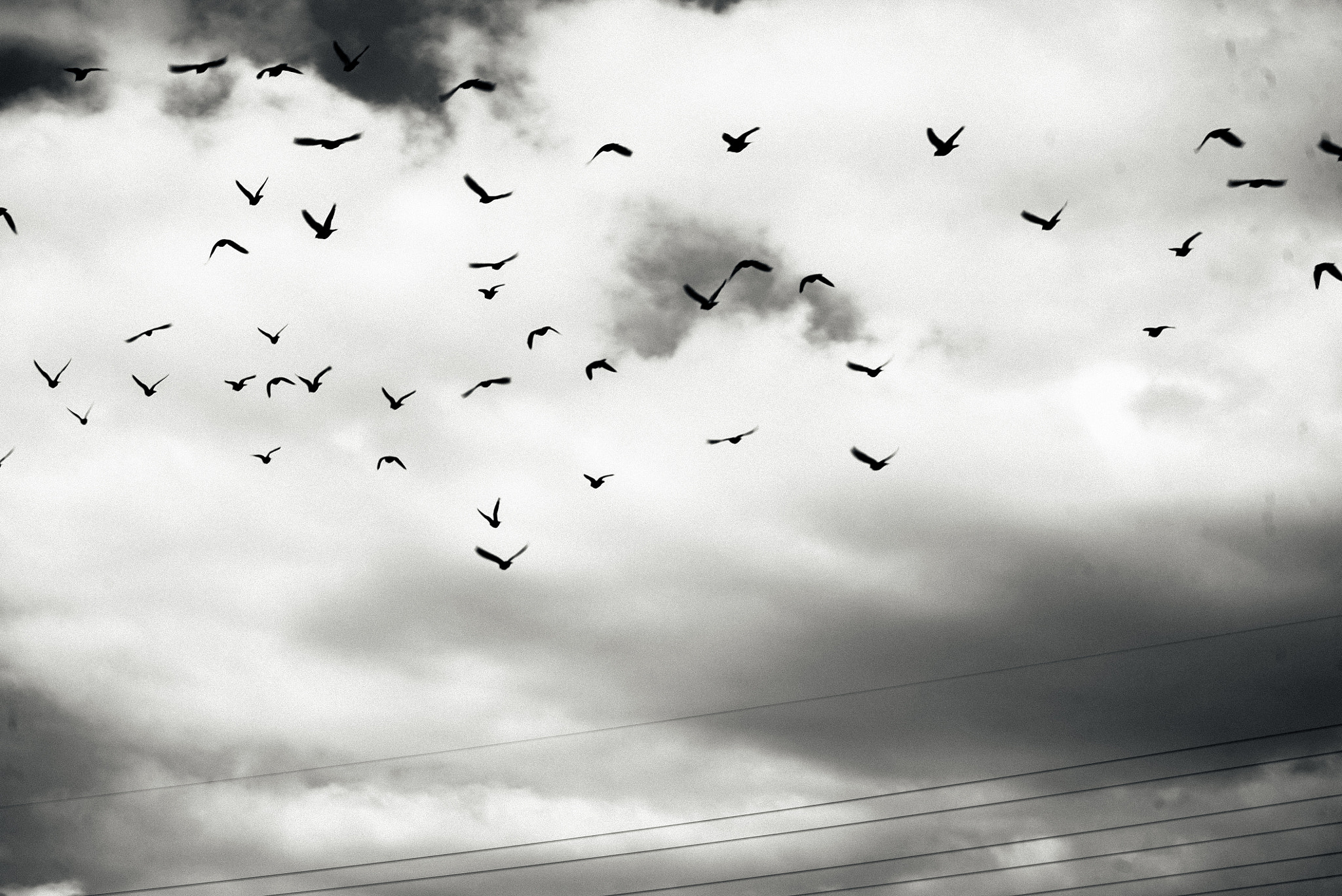 Sony a7S + Sony FE 28-70mm F3.5-5.6 OSS sample photo. Crows over japanese town photography