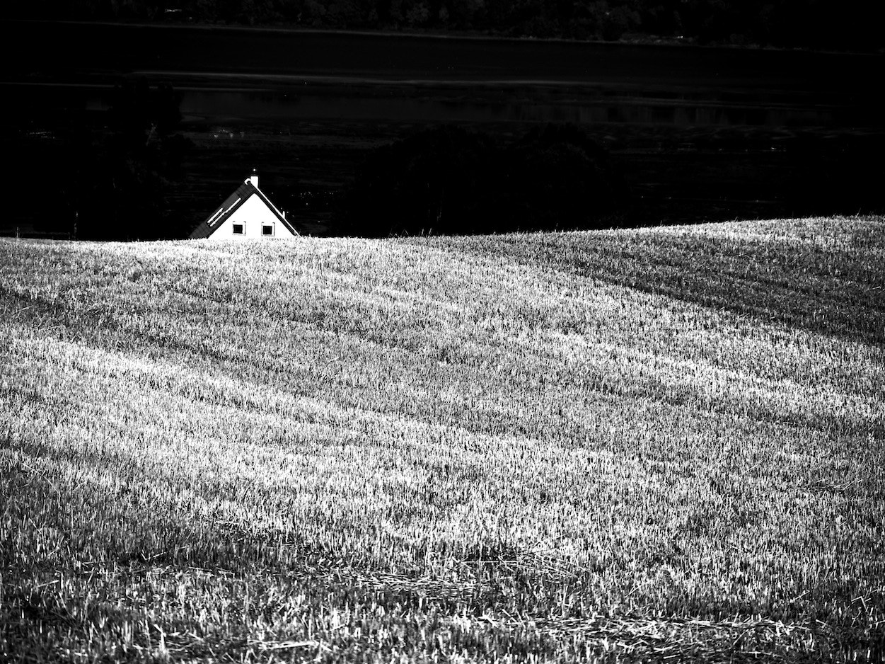 LEICA DG 100-400/F4.0-6.3 sample photo. Scotland today photography