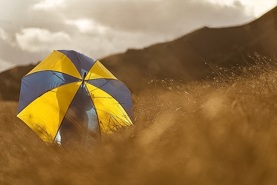 Nikon D600 + AF Nikkor 85mm f/1.8 sample photo. Waiting on the rain photography