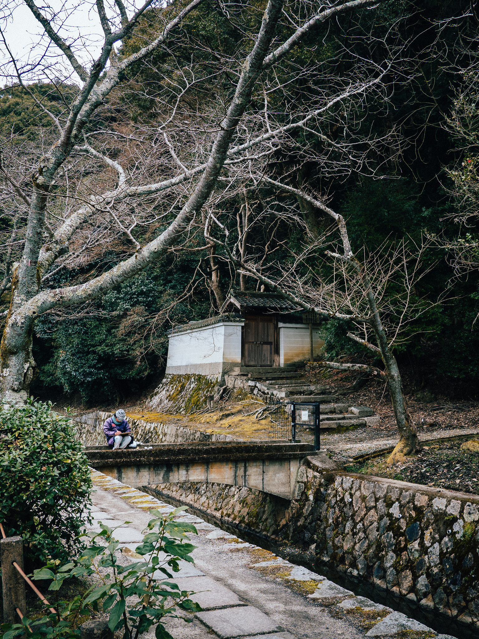 Olympus OM-D E-M5 II sample photo. Kyoto walks - philosopher's walk #3 photography