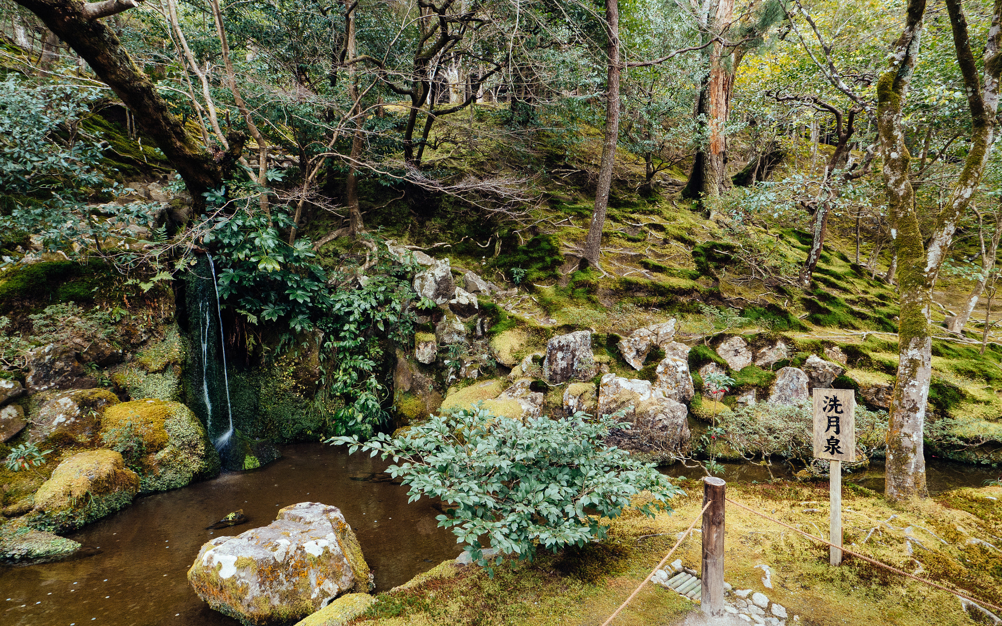 Olympus OM-D E-M5 II sample photo. Kyoto walks - ginkakuji #3 photography