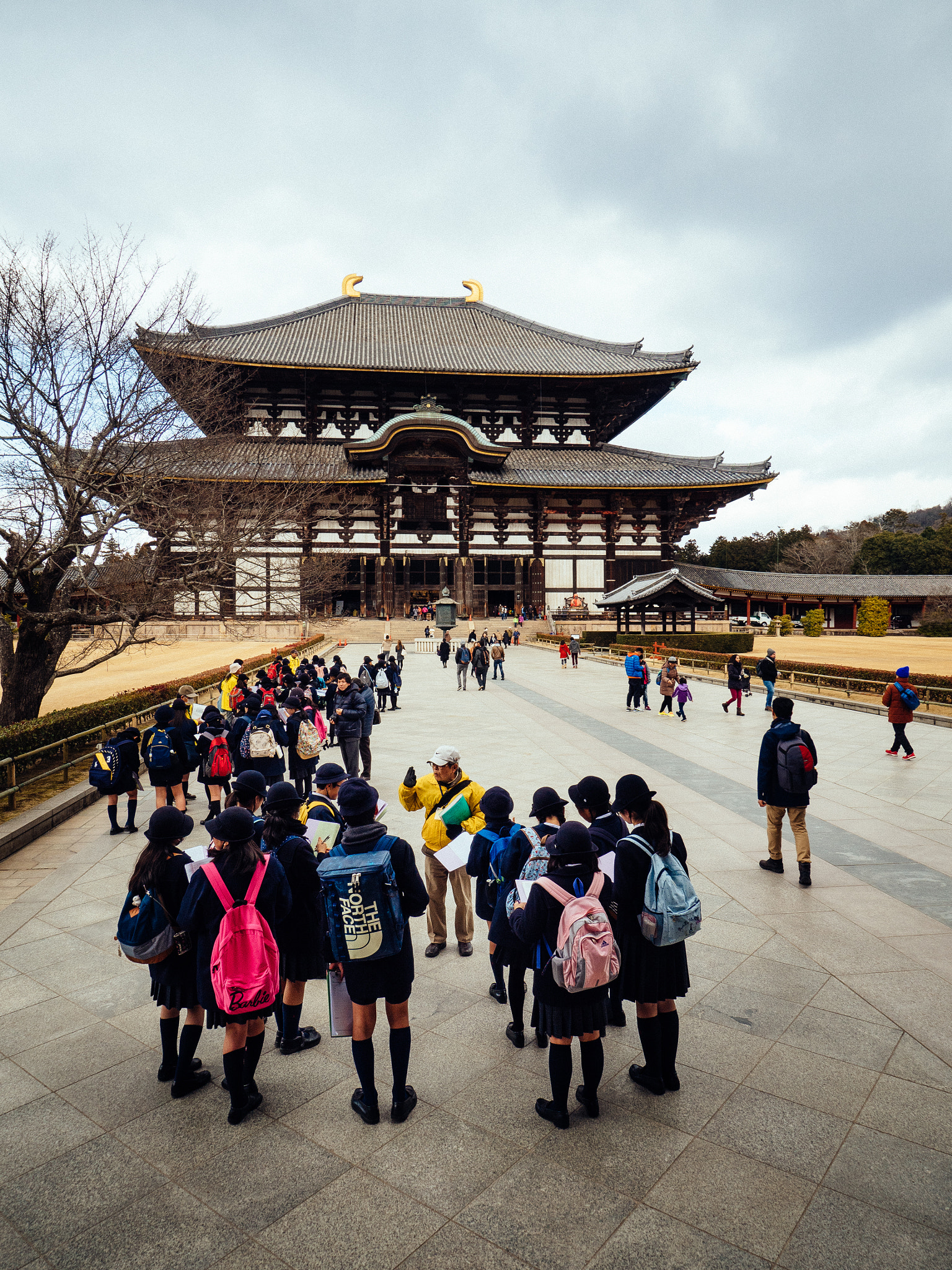 Olympus OM-D E-M5 II + OLYMPUS M.9-18mm F4.0-5.6 sample photo. Nara walks #2 photography