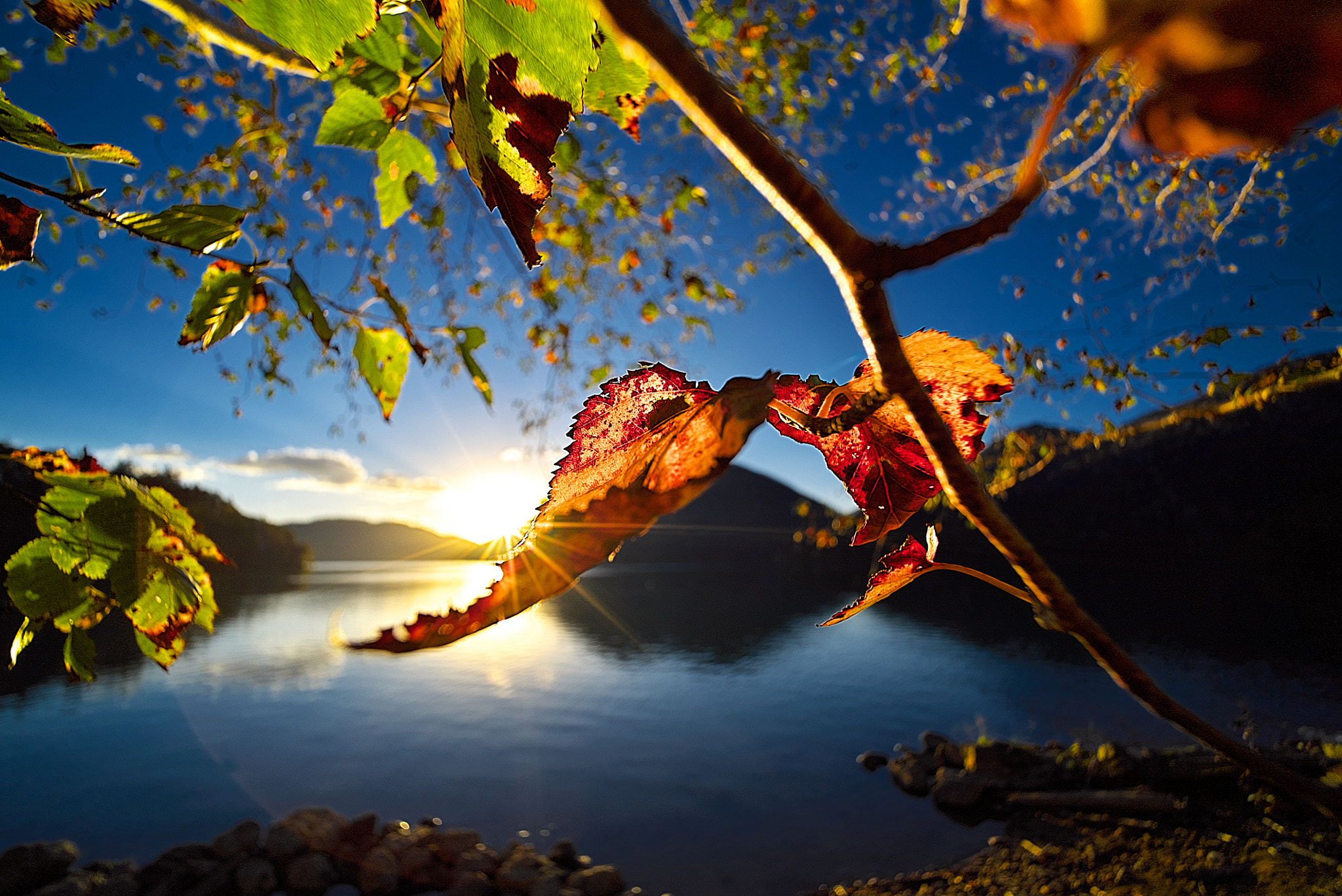 Sony a7S sample photo. Early autumn morning photography