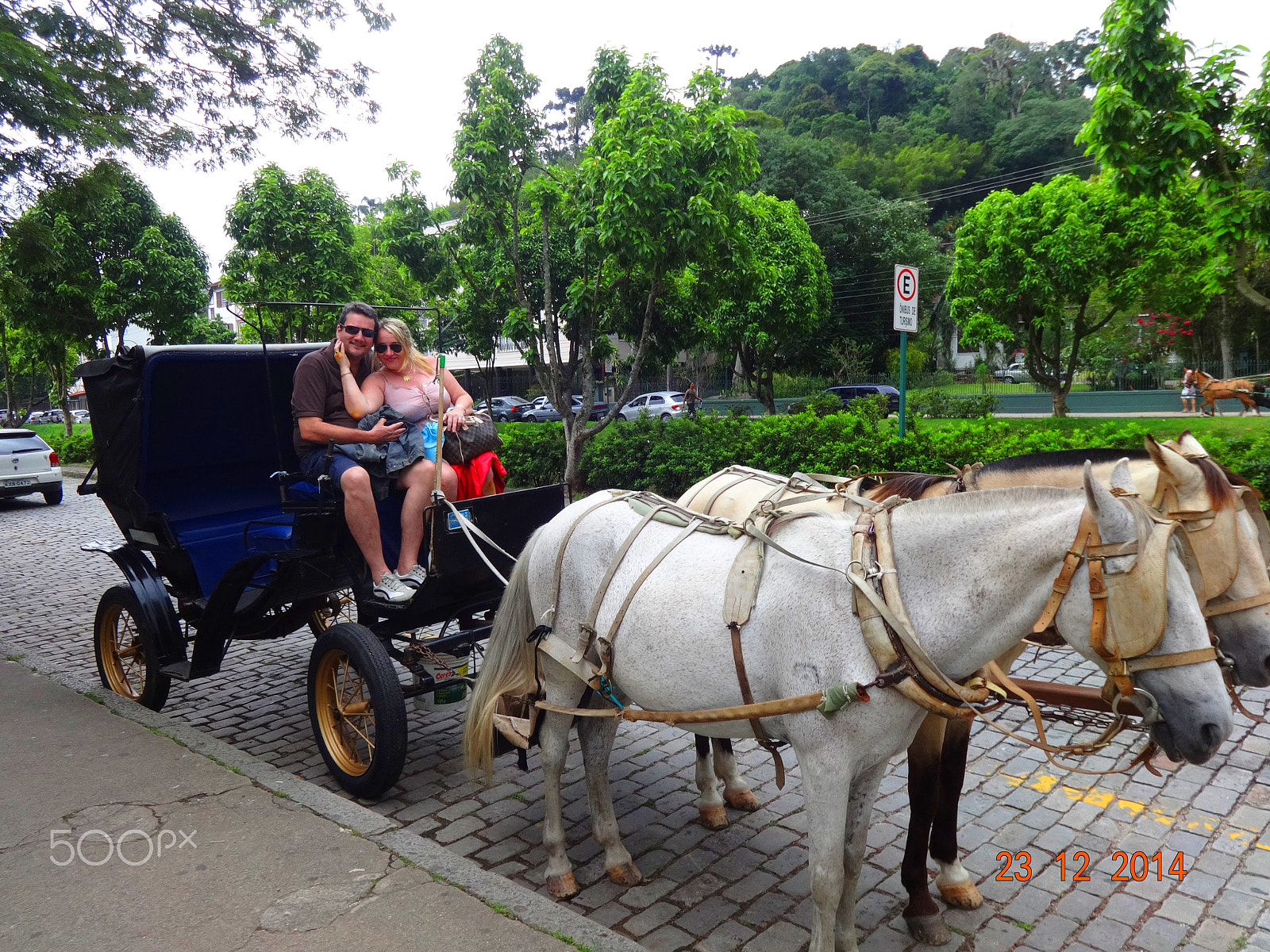 Sony Cyber-shot DSC-WX80 sample photo. Petropolis charrete photography