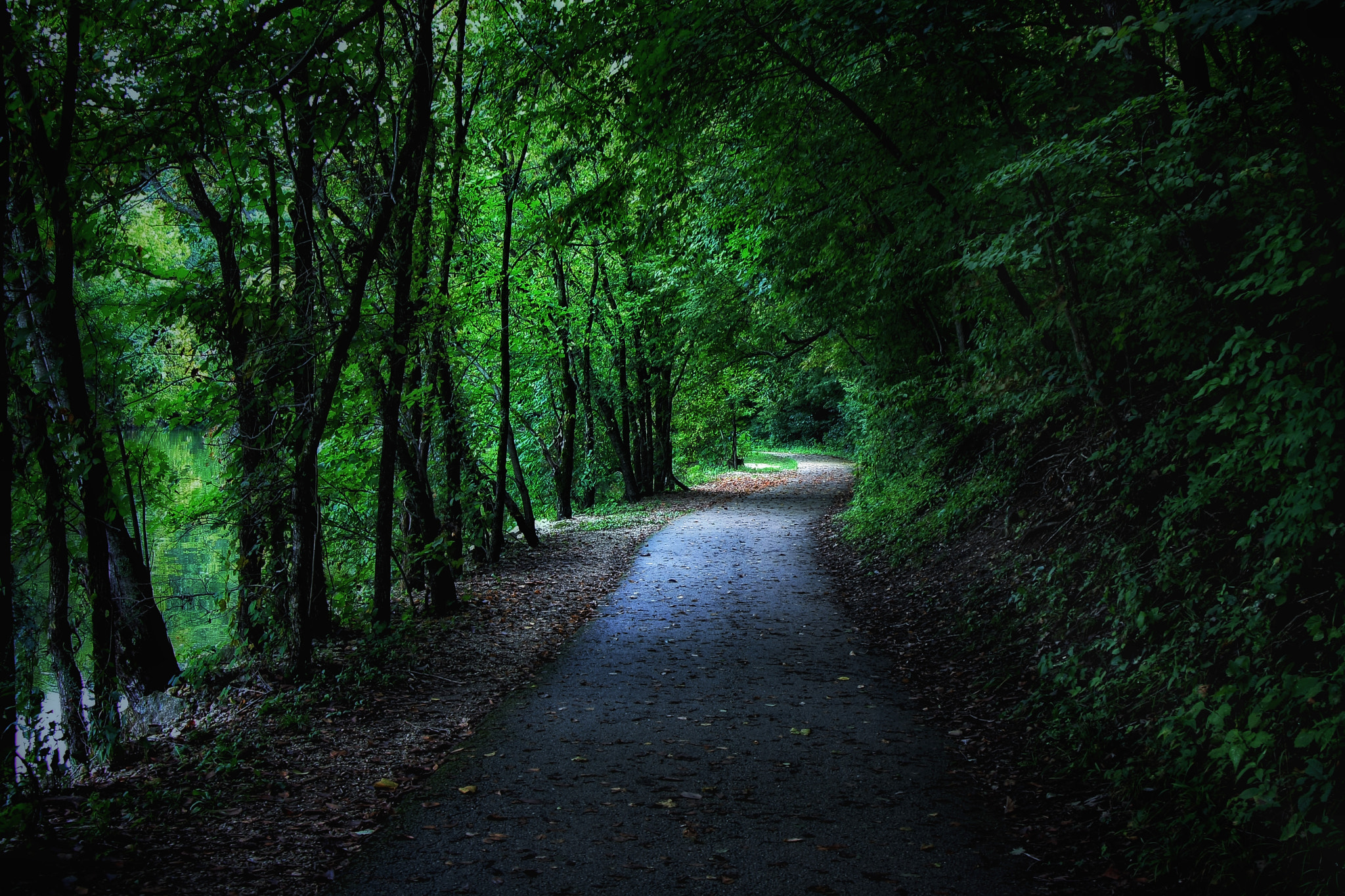 Canon EOS 1000D (EOS Digital Rebel XS / EOS Kiss F) sample photo. Fall pathway photography