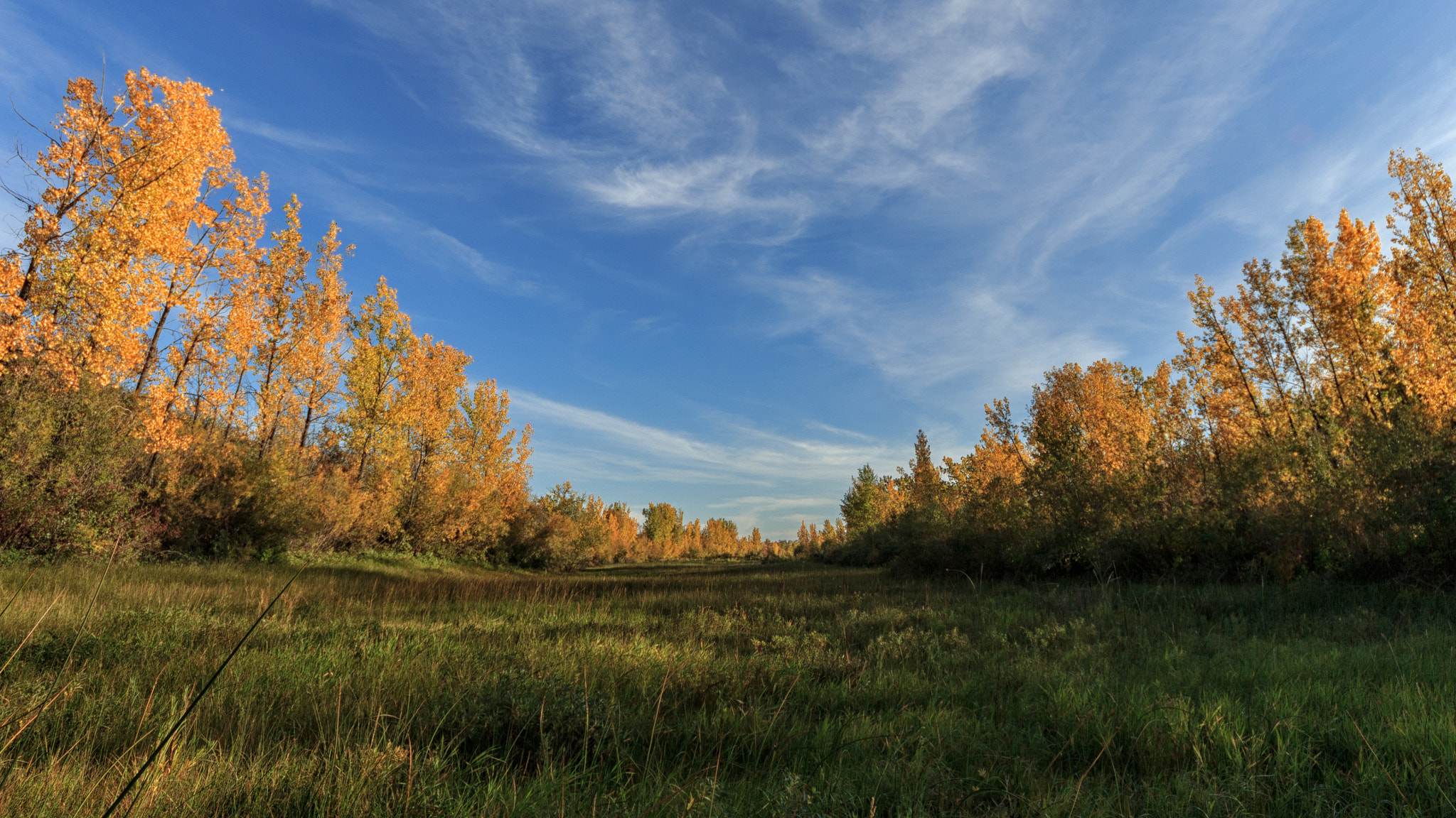 Sigma 8-16mm F4.5-5.6 DC HSM sample photo. Dried out river bed. photography