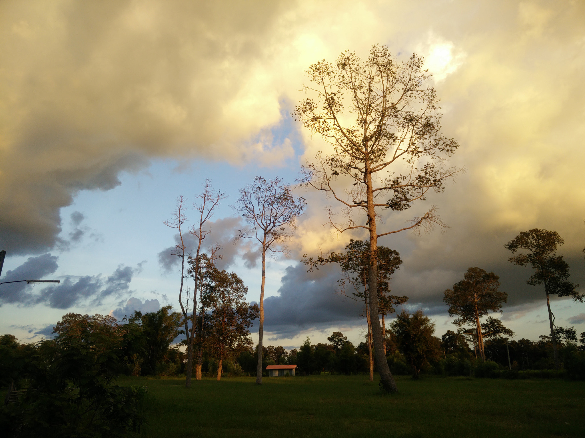 OPPO Find7 sample photo