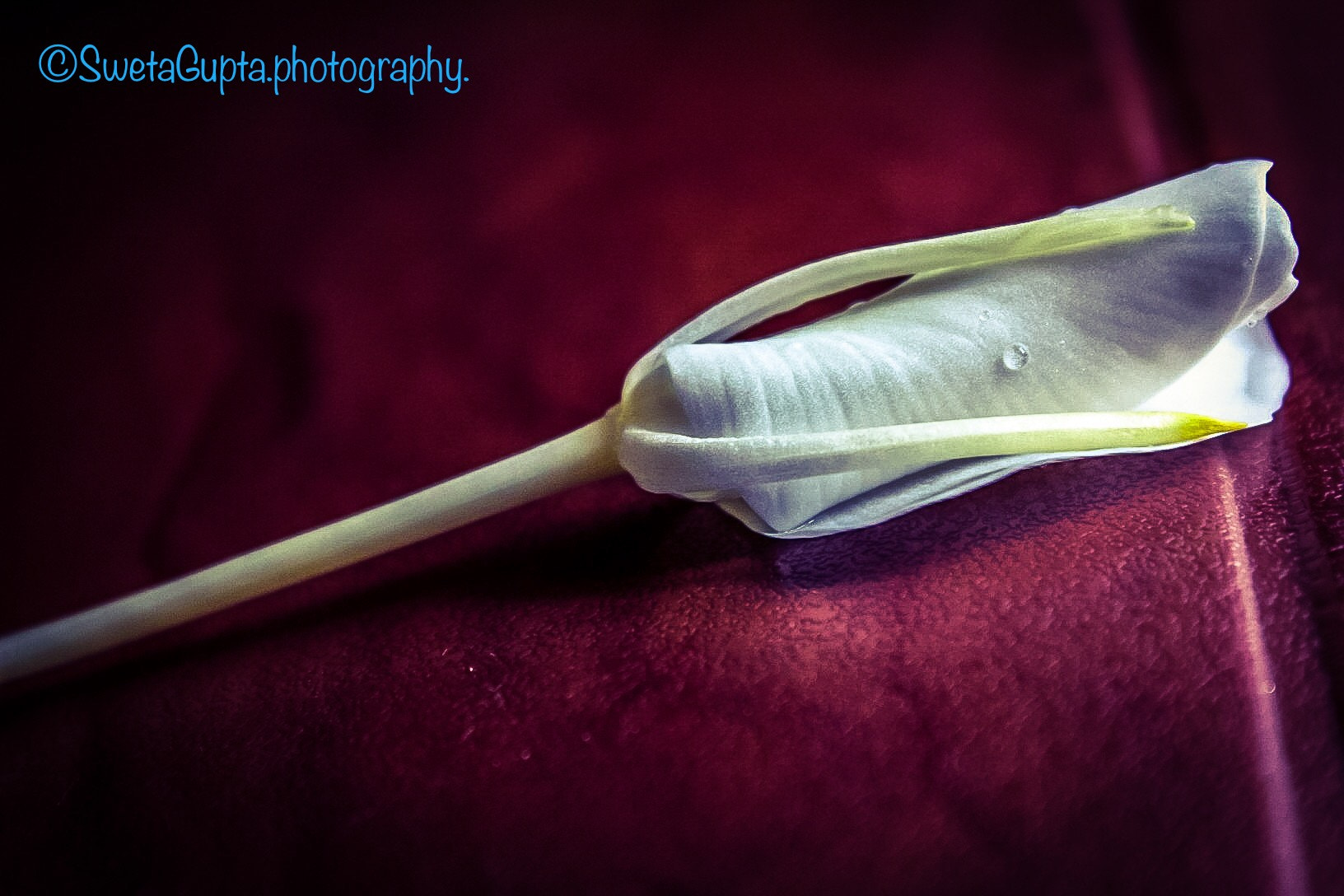 Canon EF-S 18-55mm F3.5-5.6 IS II sample photo. Beauty thy name is nature!!!! photography