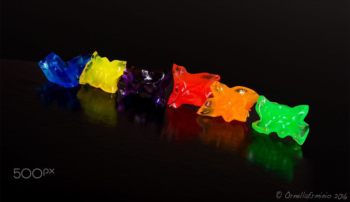 Nikon D810 + Nikon AF Micro-Nikkor 60mm F2.8D sample photo. W , w i colori photography