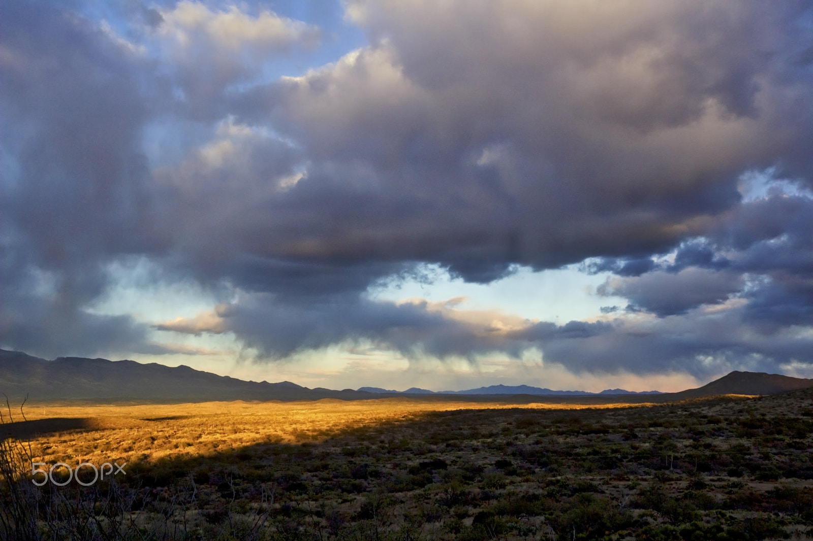 Canon EOS 100D (EOS Rebel SL1 / EOS Kiss X7) sample photo. Golden light and big cloud photography
