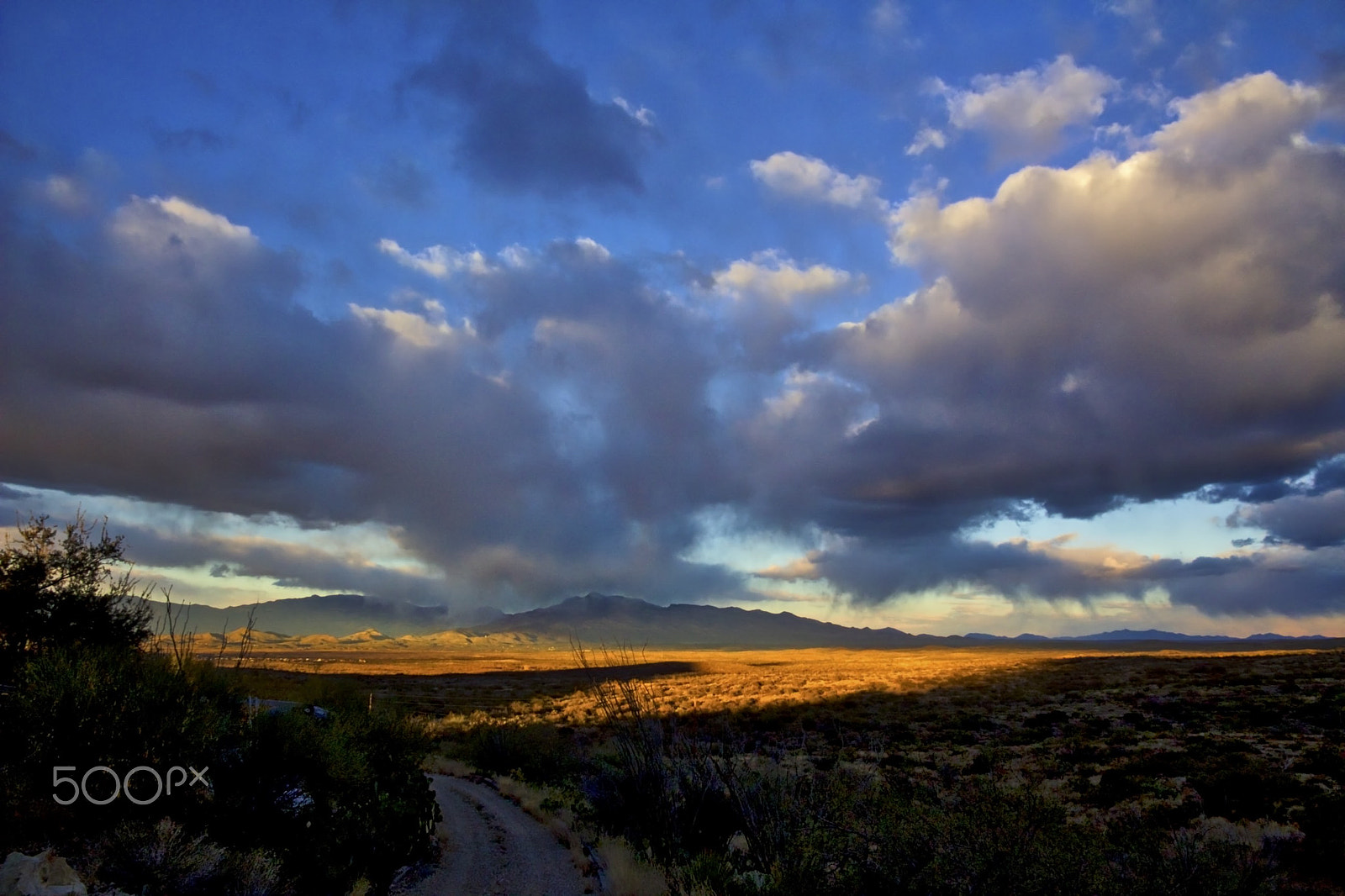 Canon EOS 100D (EOS Rebel SL1 / EOS Kiss X7) sample photo. Cloud eats cloud in the golden light photography