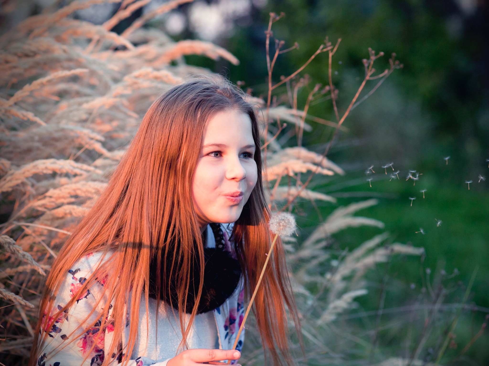 Canon EF 100mm F2.0 USM sample photo. Pretty photography