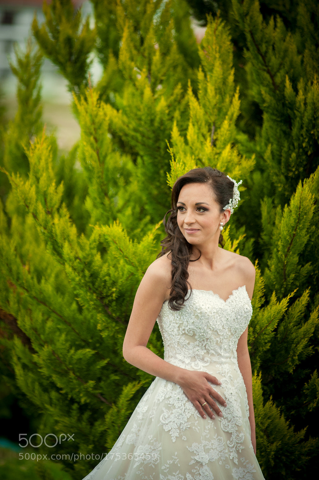 Nikon D3 sample photo. Manthos tsakiridis wedding photography